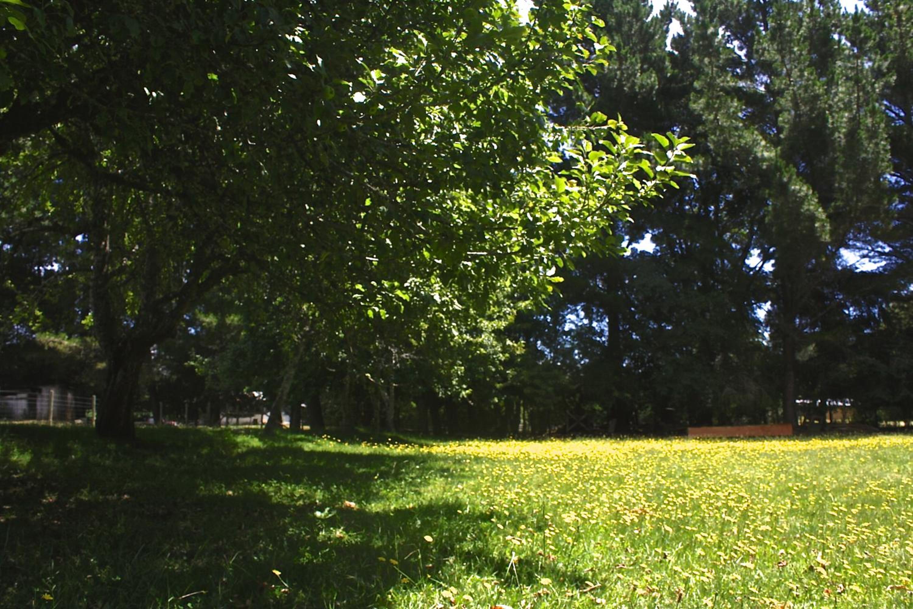 Cabaña Aroma de Campo