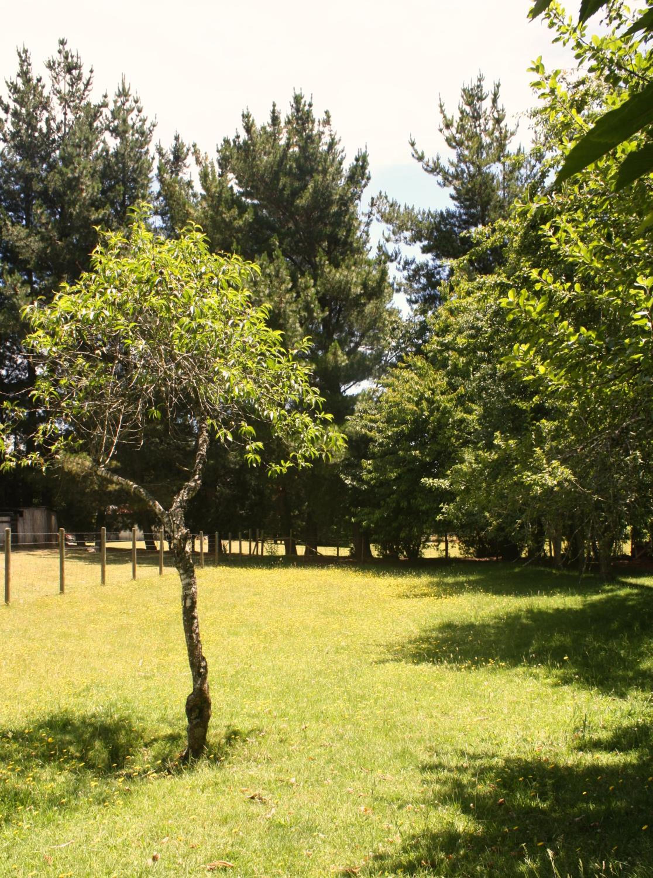 Cabaña Aroma de Campo