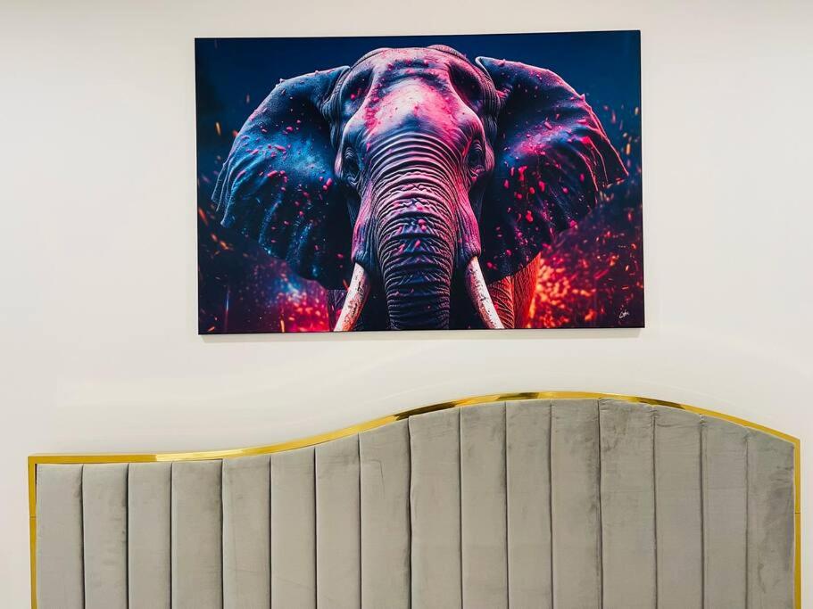 Photo 55