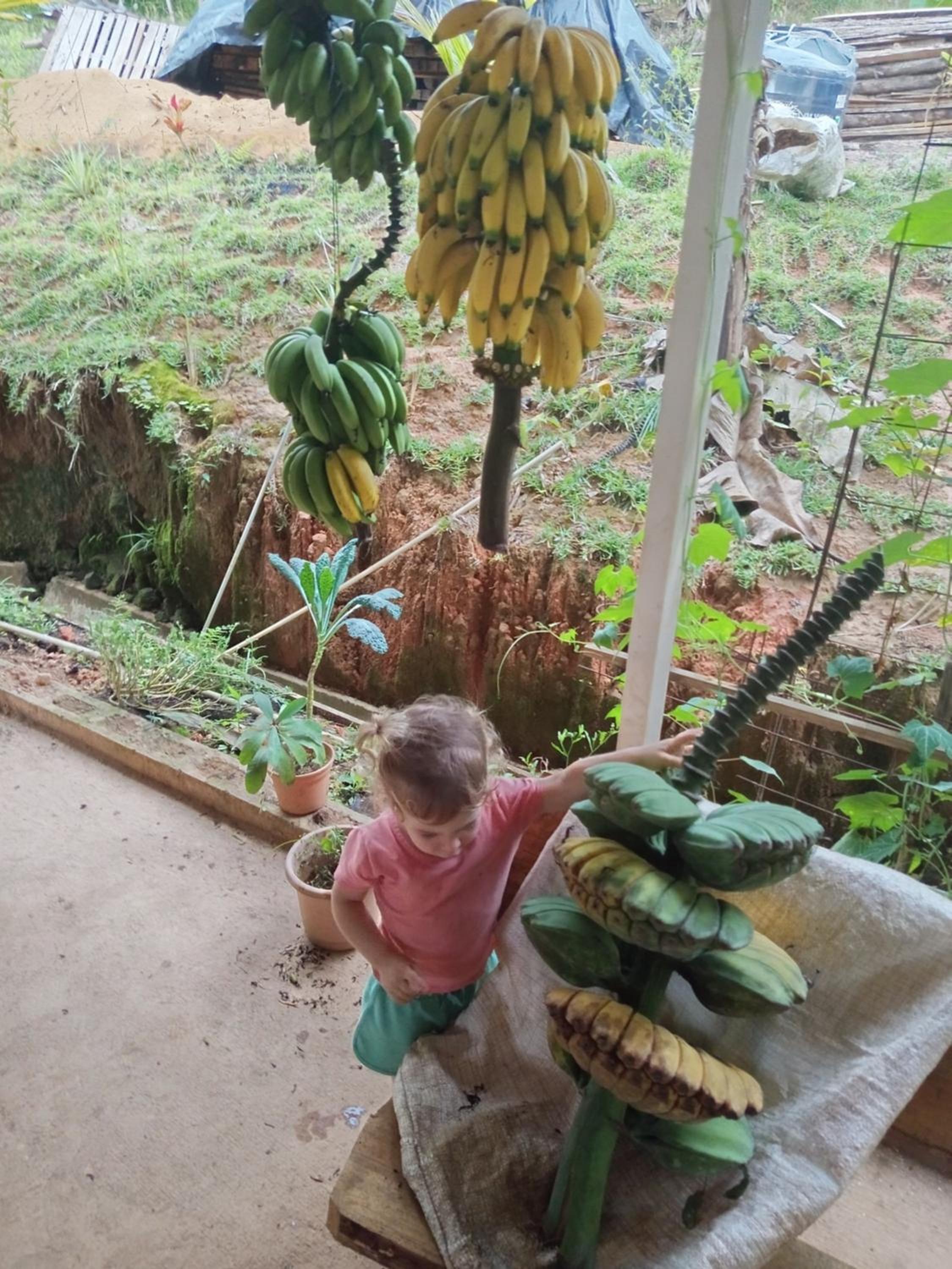 Eco-stay in Finca LOA