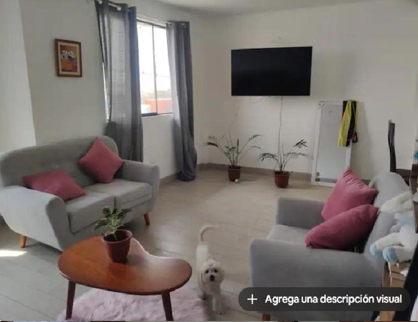 Wasi de Sophia view 4