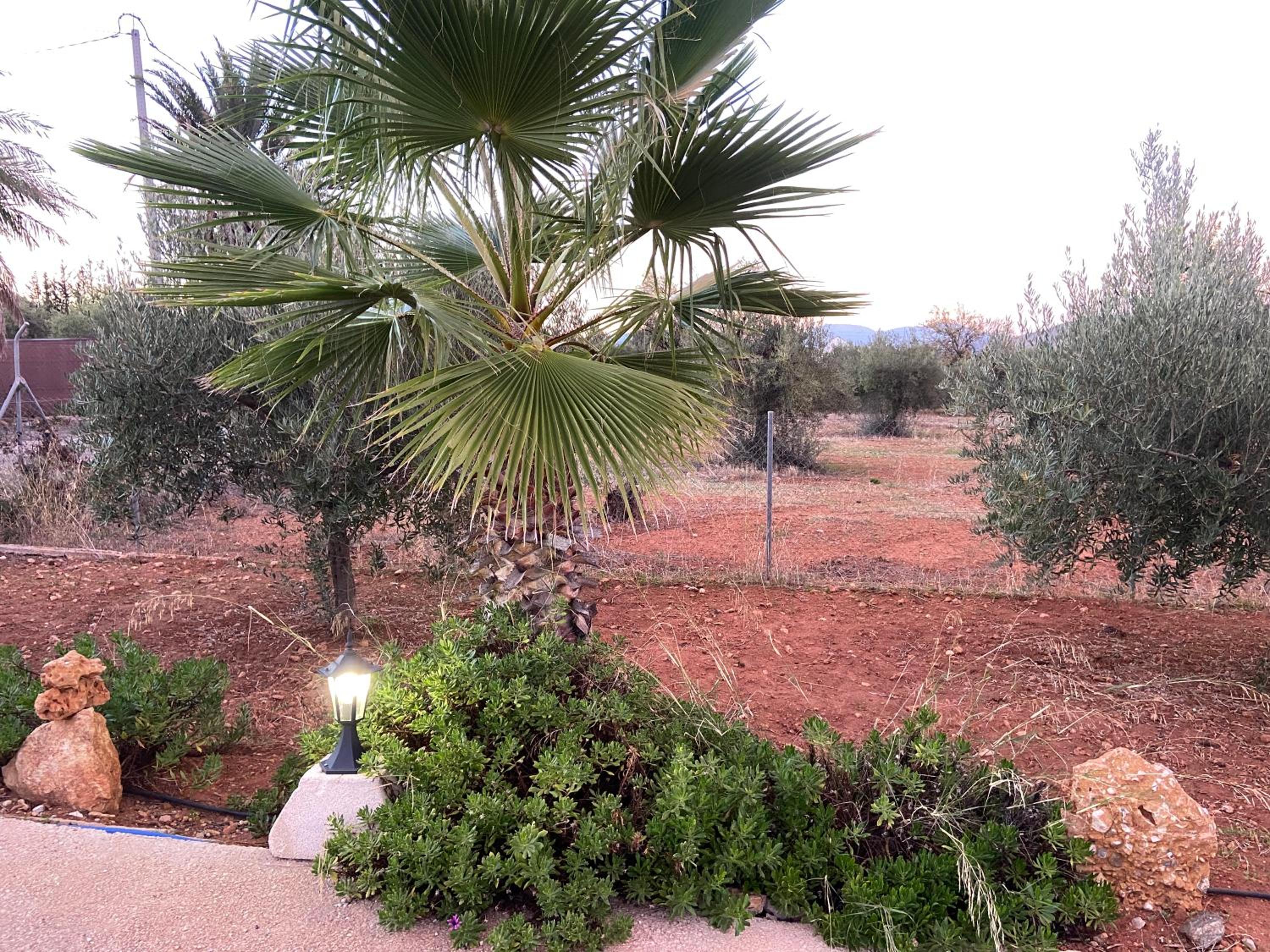 Finca el Pereo