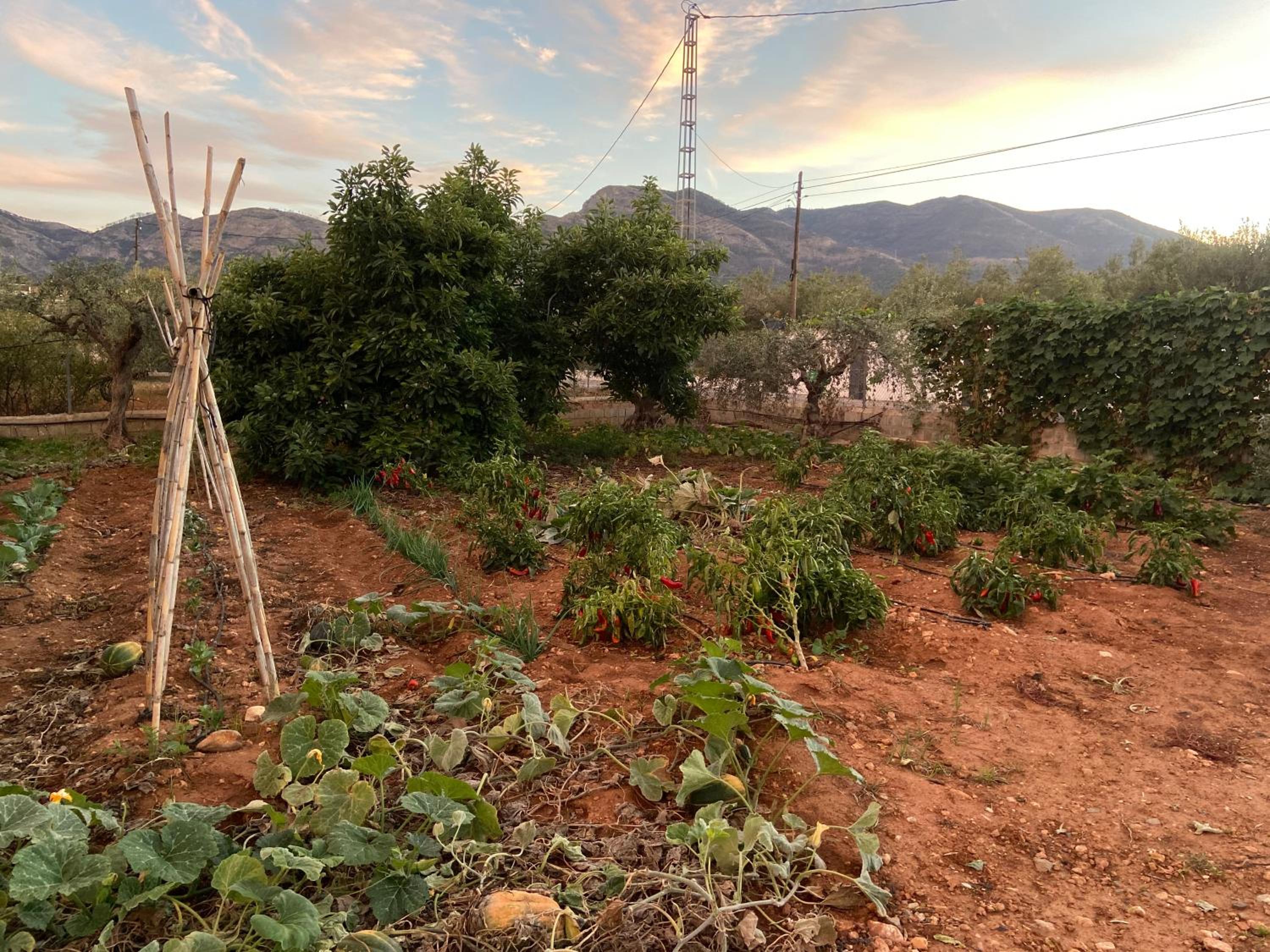 Finca el Pereo