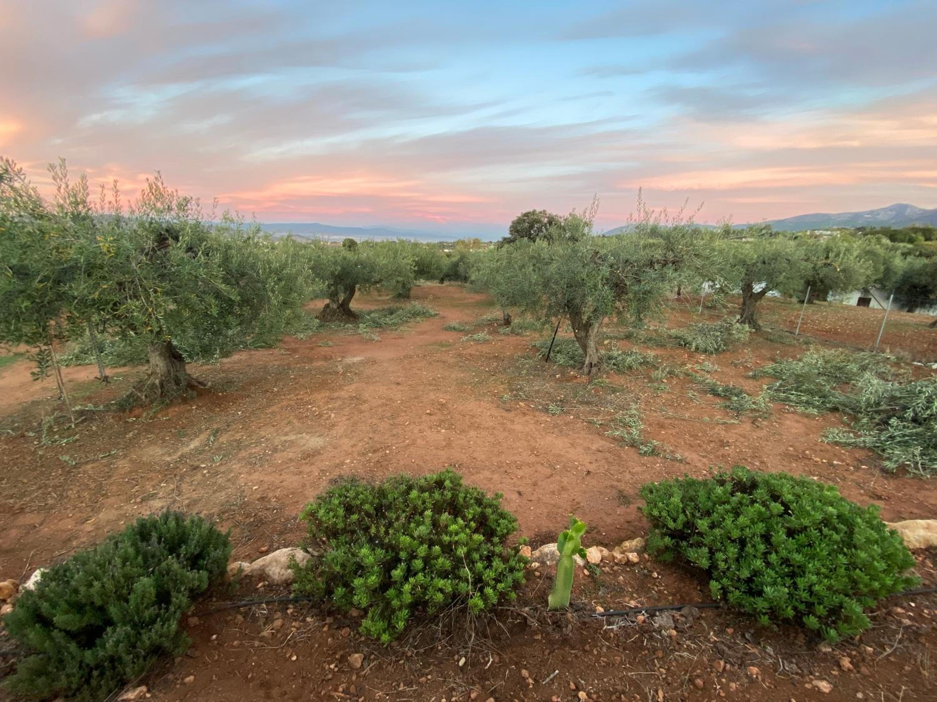 Finca el Pereo