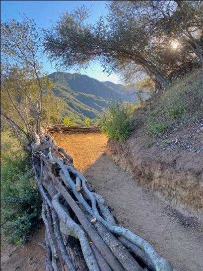 Japanese Tea House with Private Mountain Trails and Creek view 5