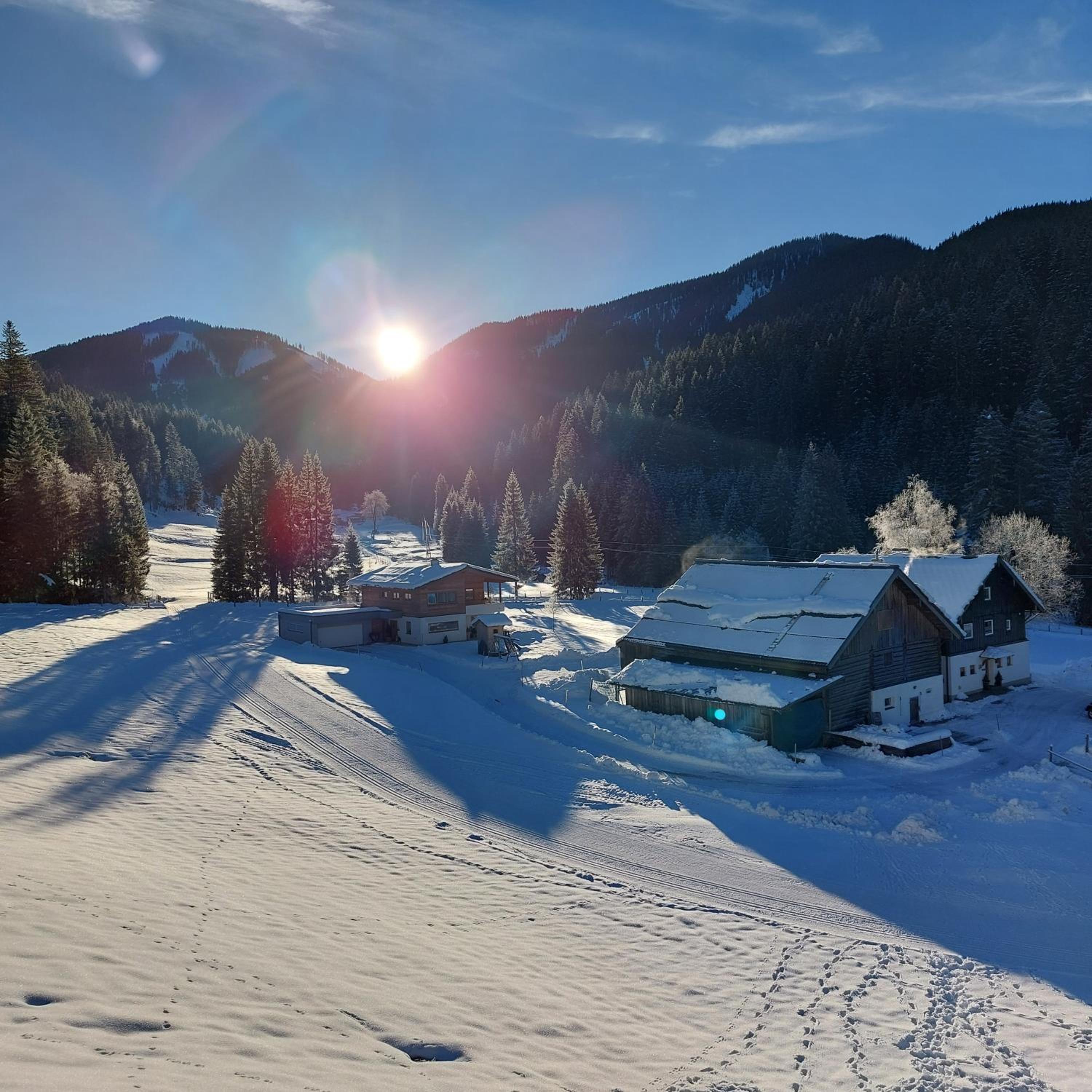 Hütte Neuhaus