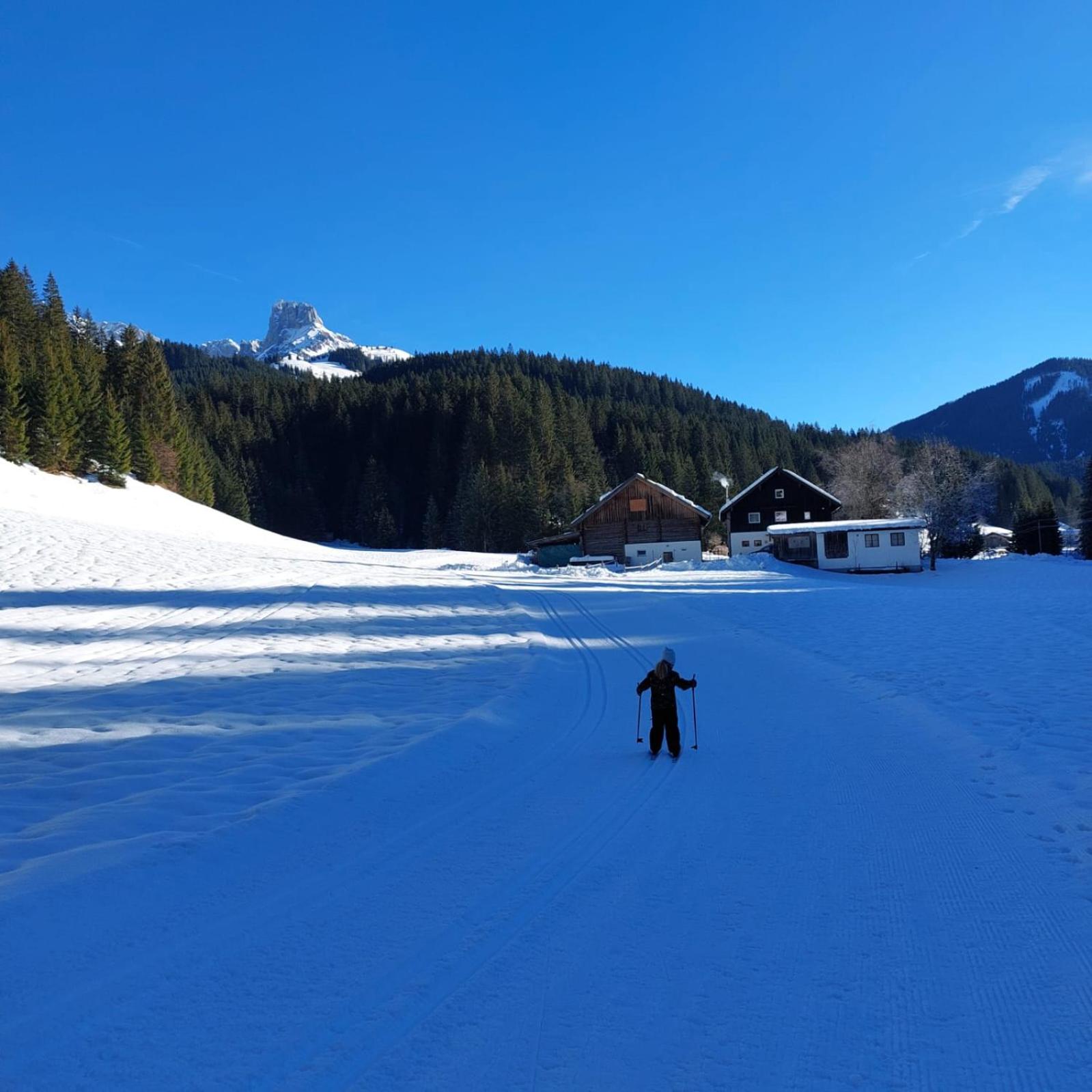 Hütte Neuhaus
