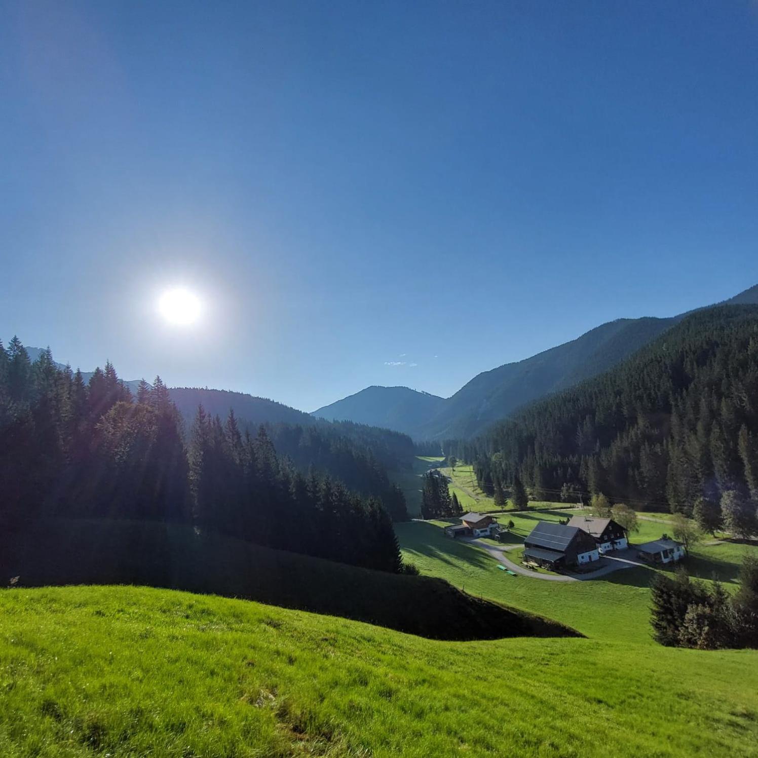 Hütte Neuhaus