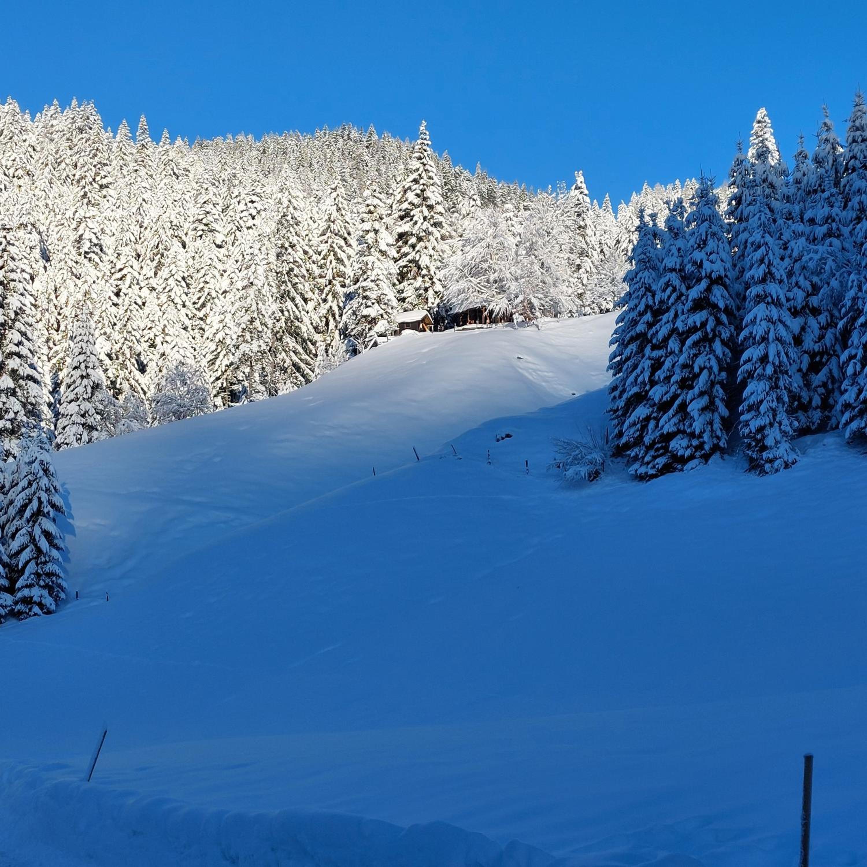 Hütte Neuhaus