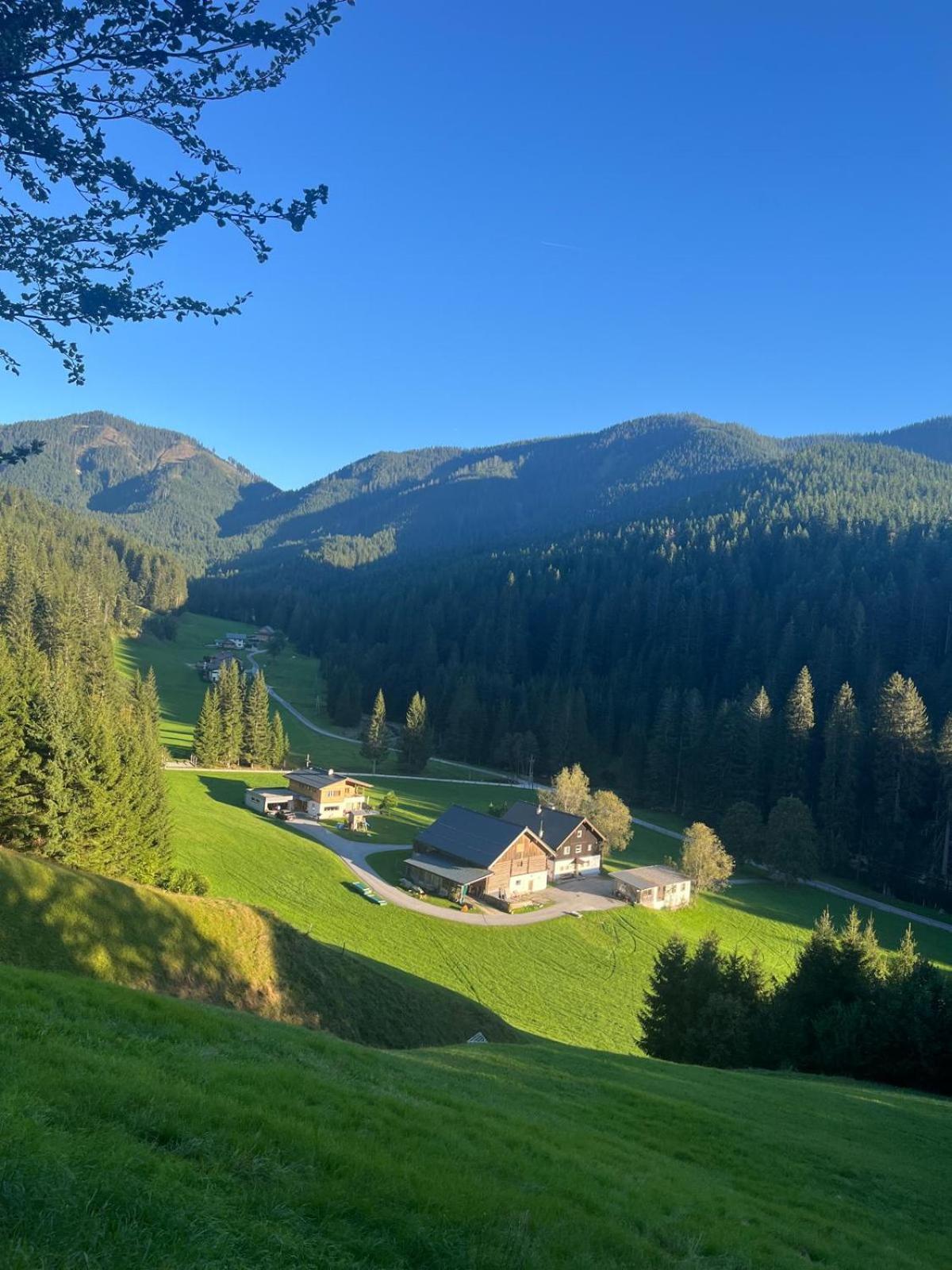 Hütte Neuhaus