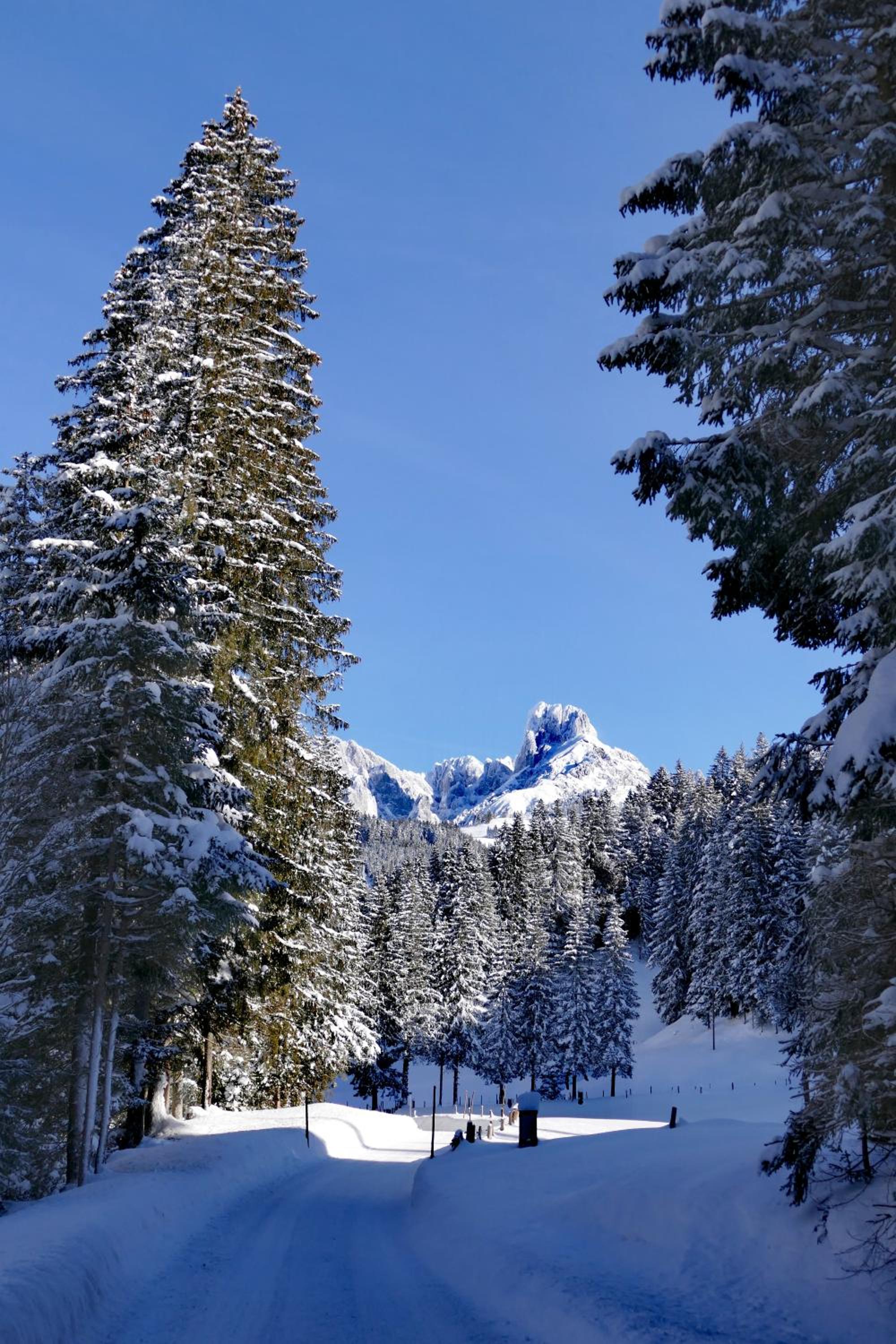 Hütte Neuhaus