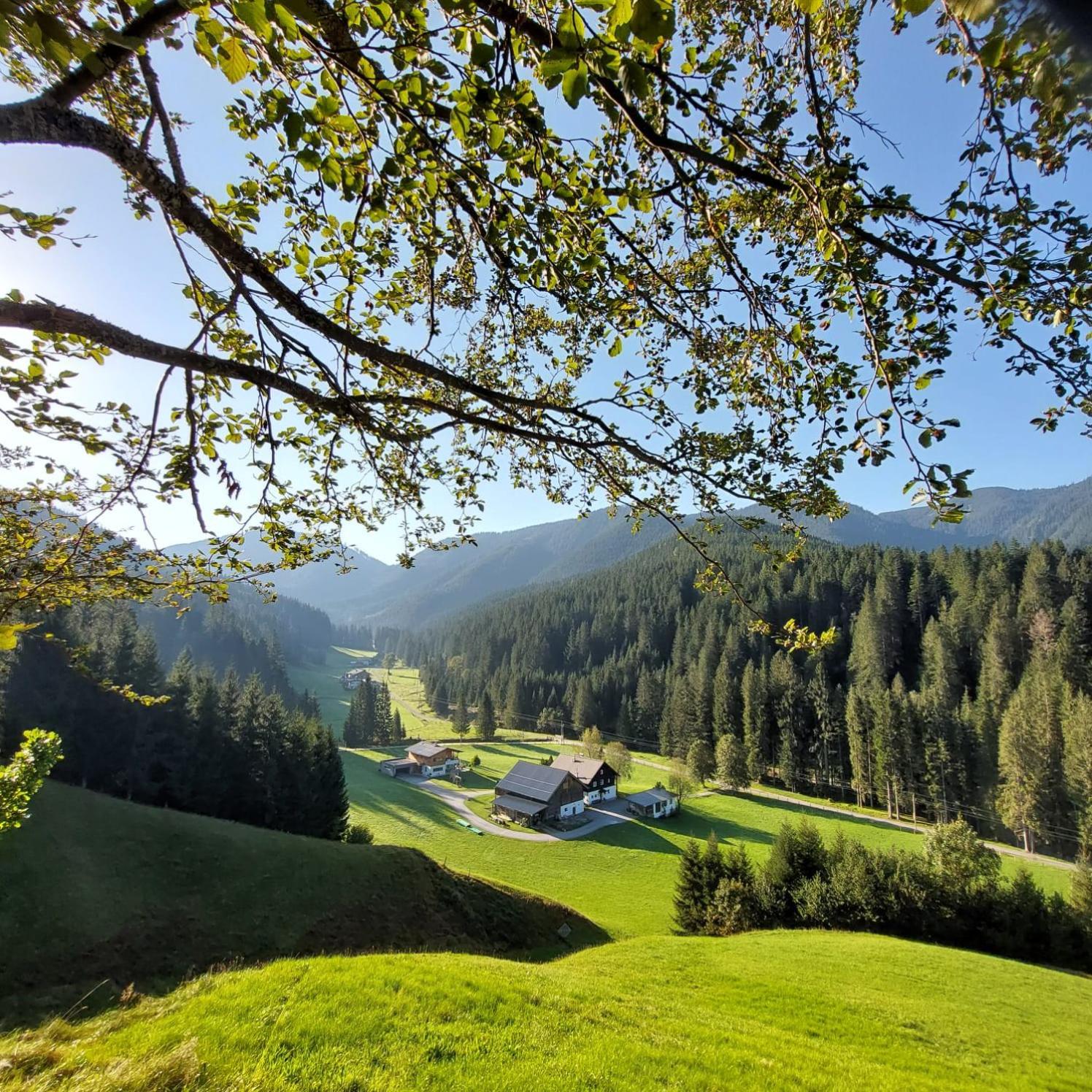 Hütte Neuhaus