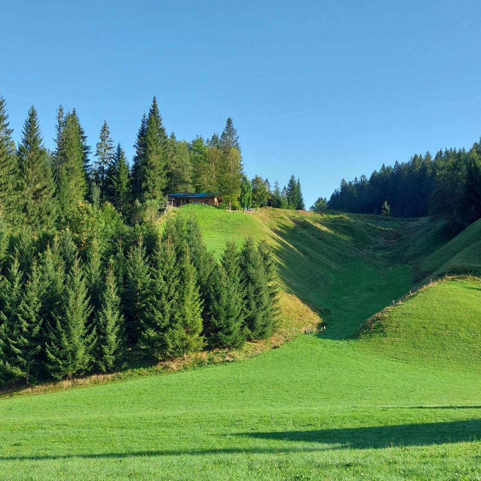 Hütte Neuhaus