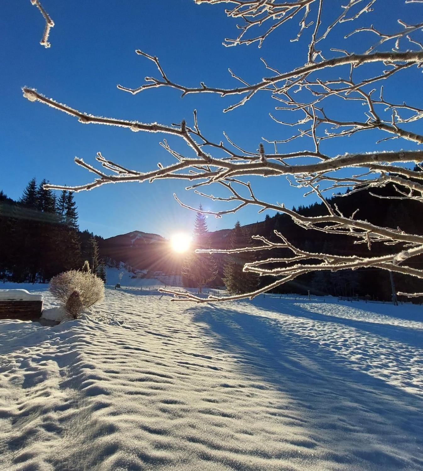 Hütte Neuhaus
