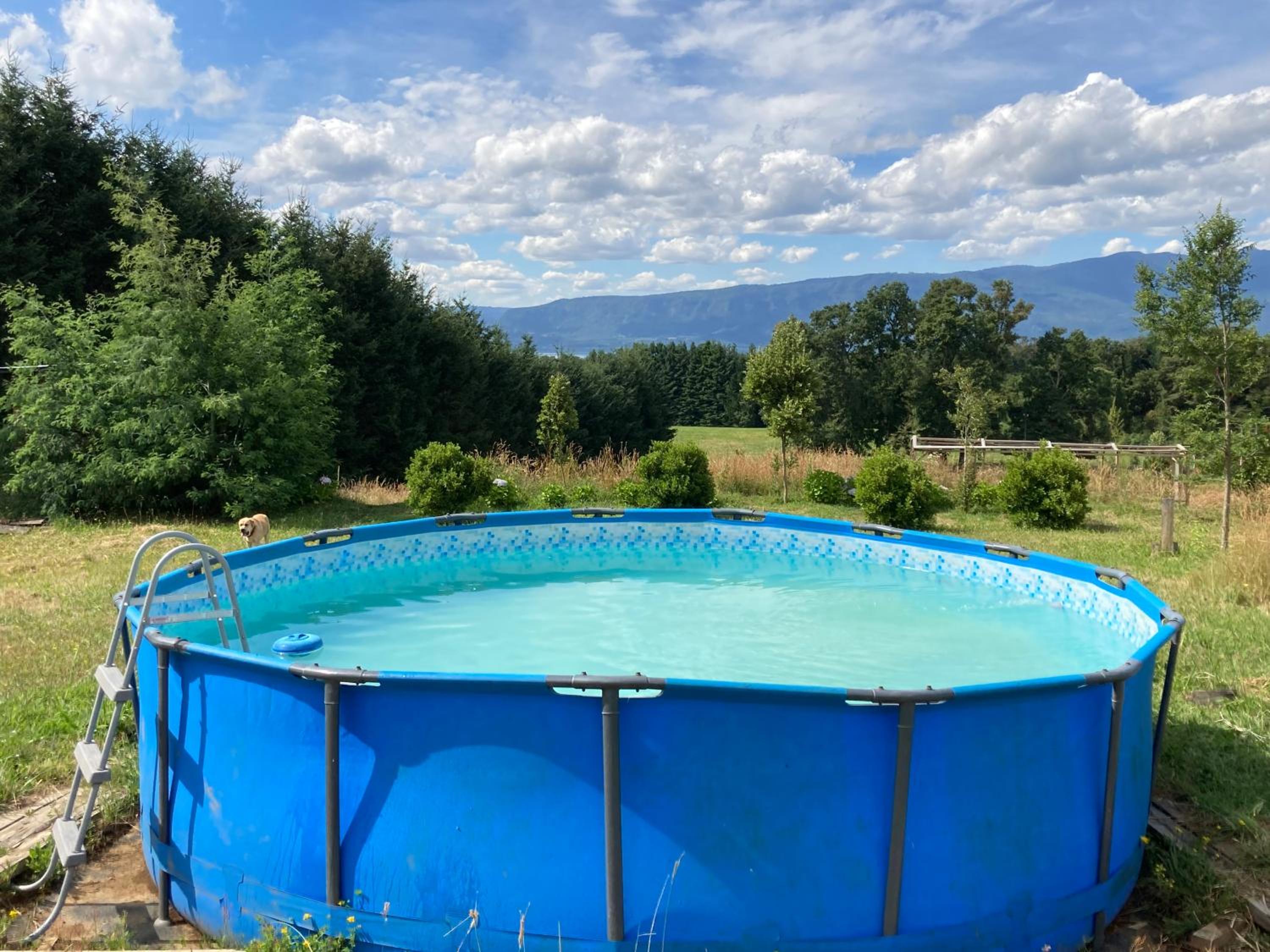 Studio con hermosa vista al lago y volcan, piscina