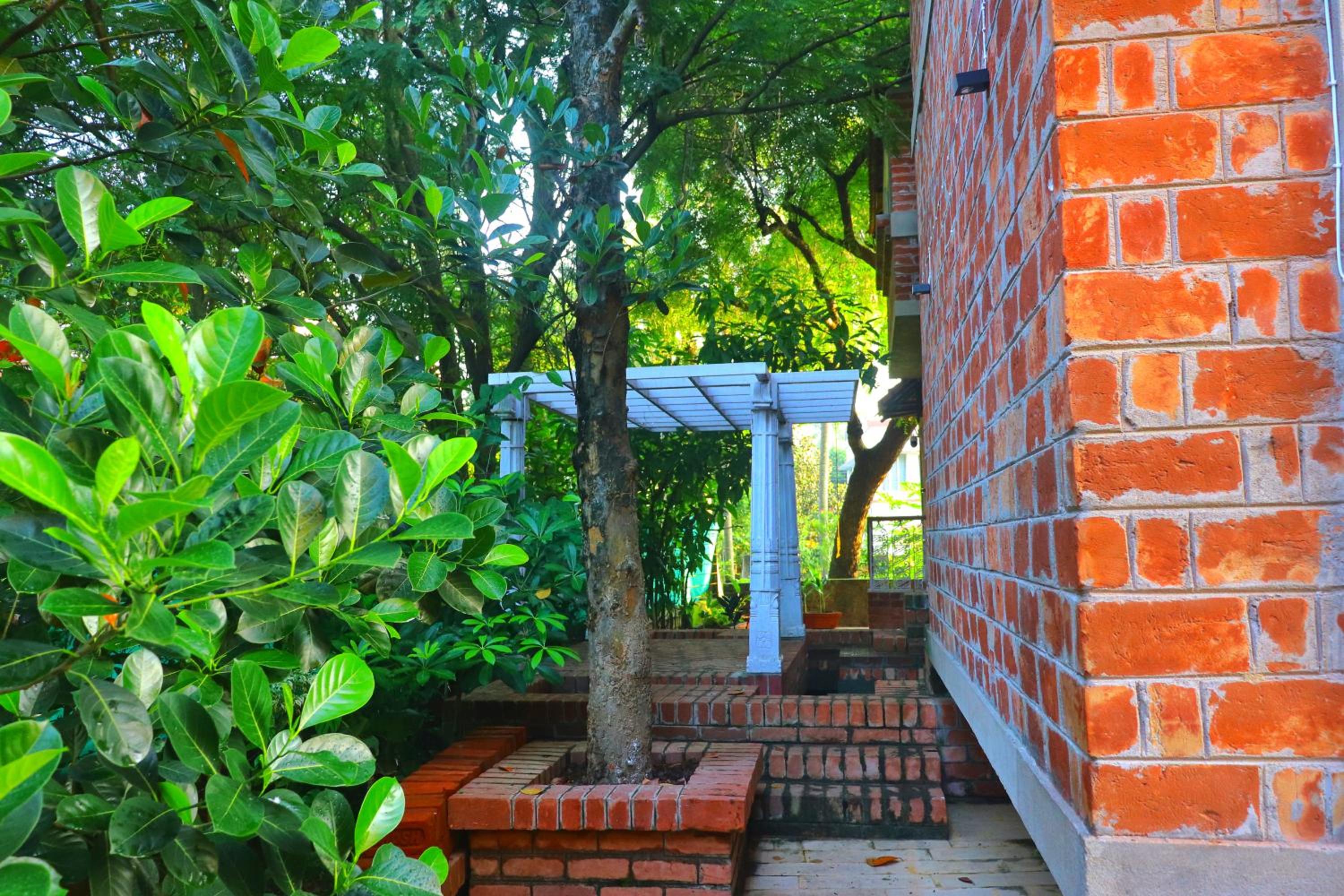 Photo 41