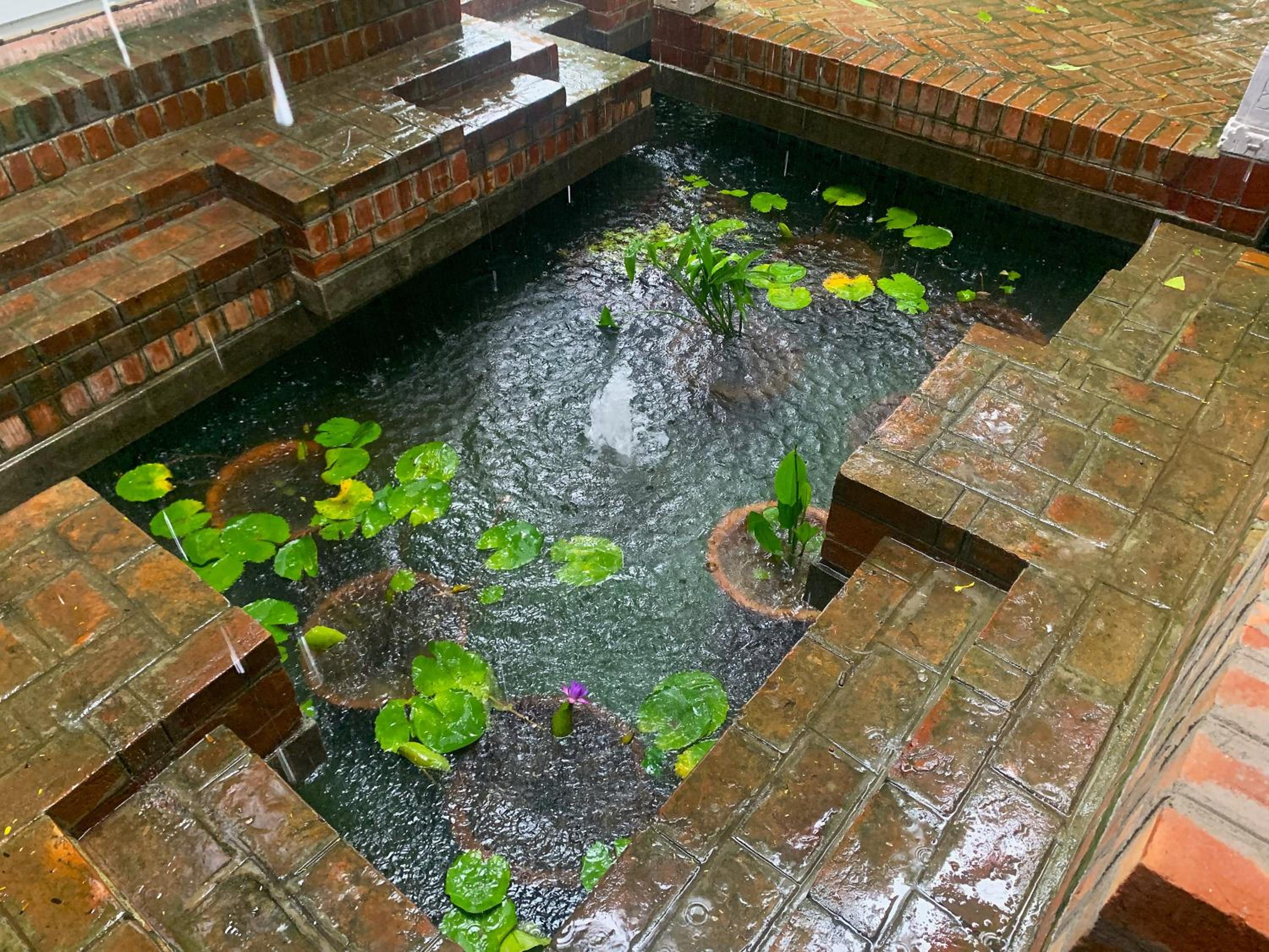 Photo 47