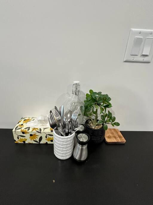 The Urban Nest