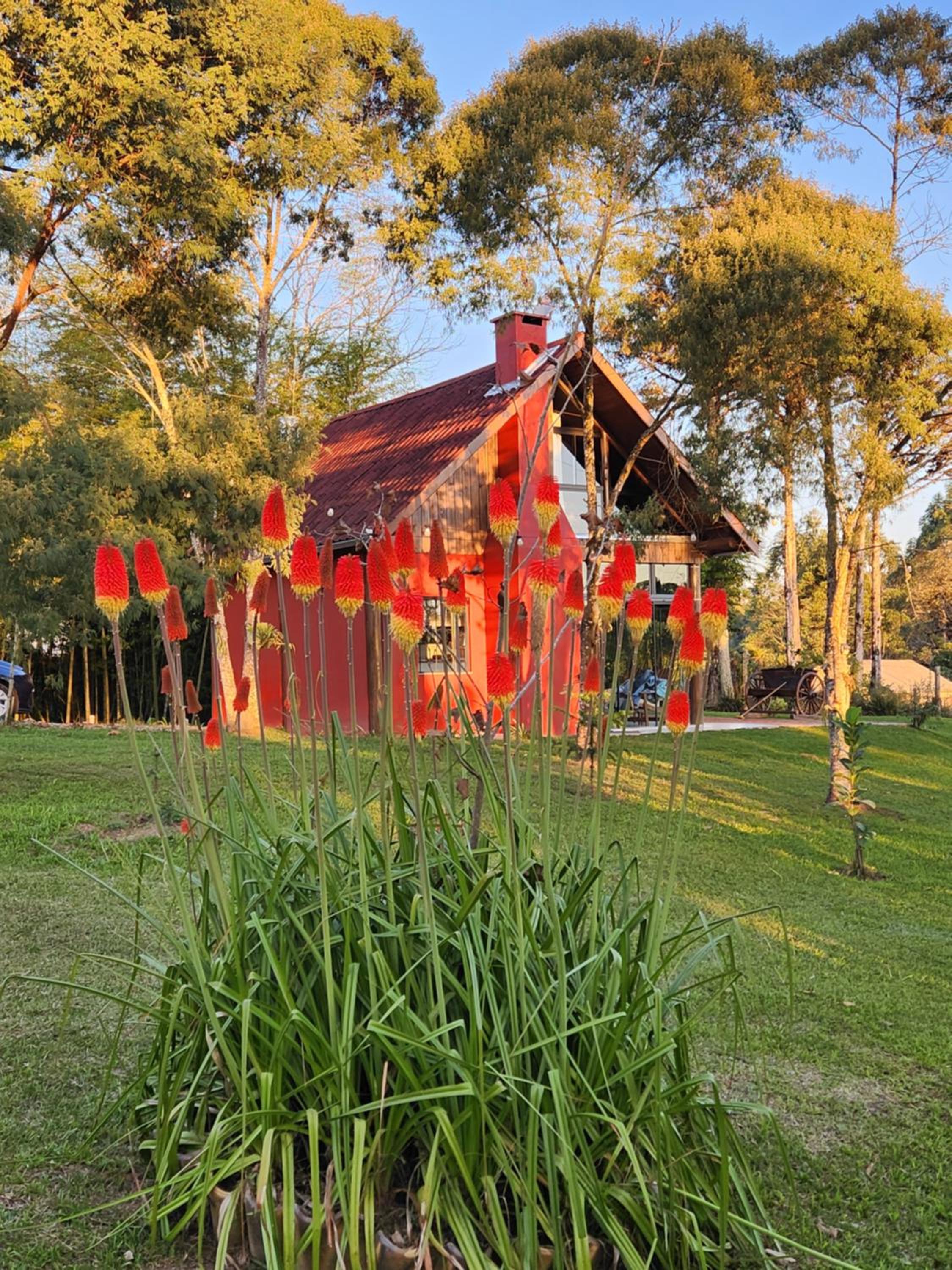 Chalé manacá da serra
