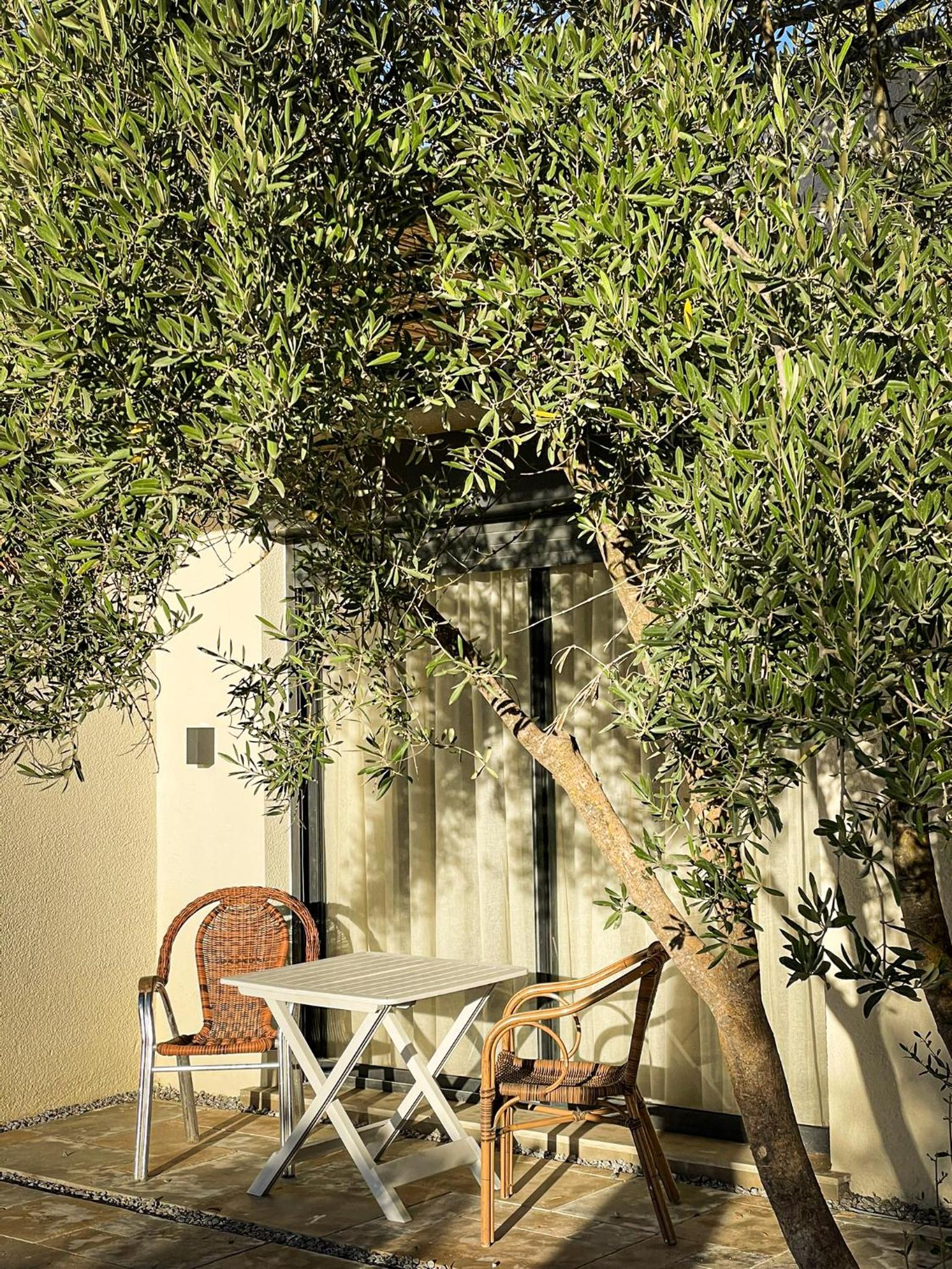 CASA ULIVO villa en pleine nature view 4
