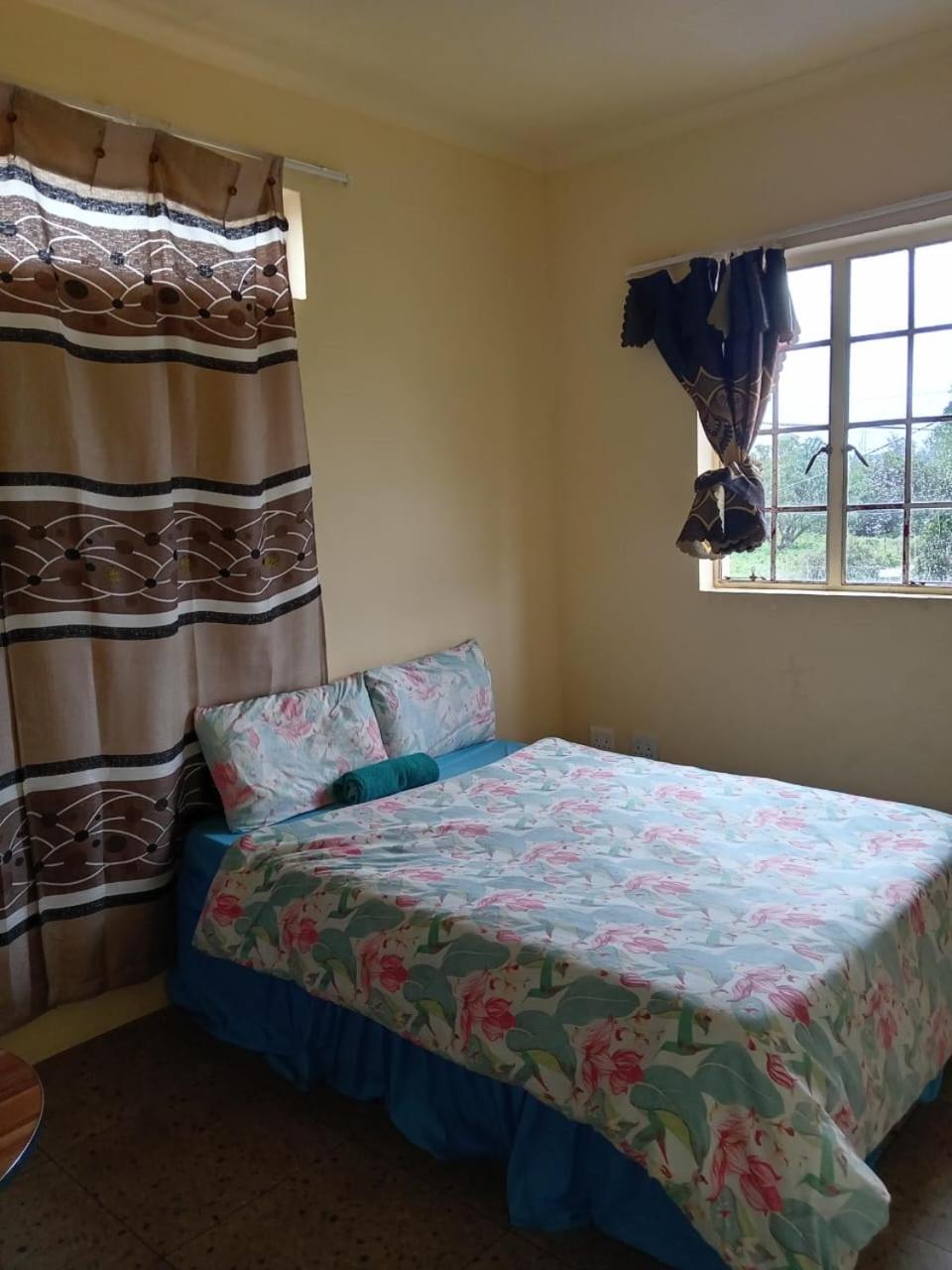 Qten Hyper Home view 3