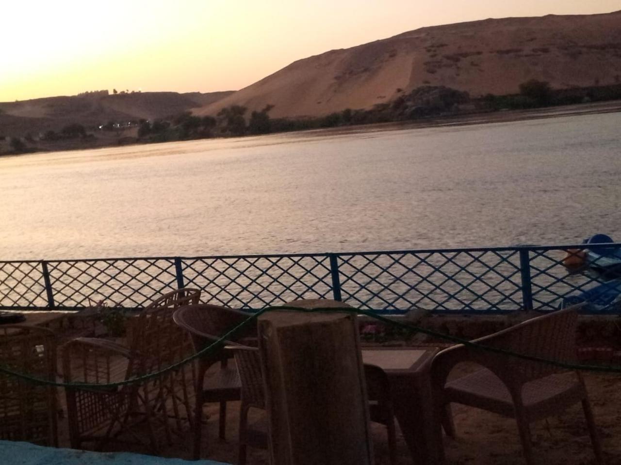 hooly nubian
