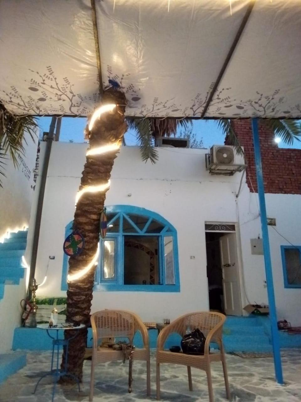 hooly nubian