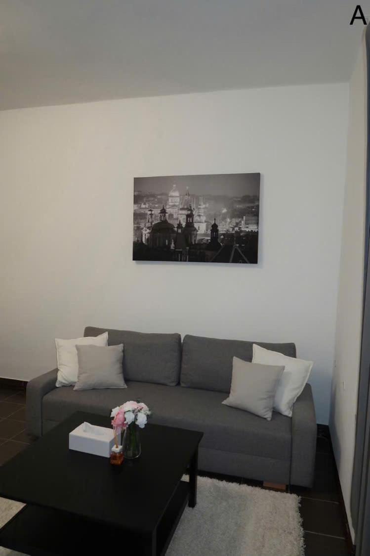 stunning apartment in Prague 3