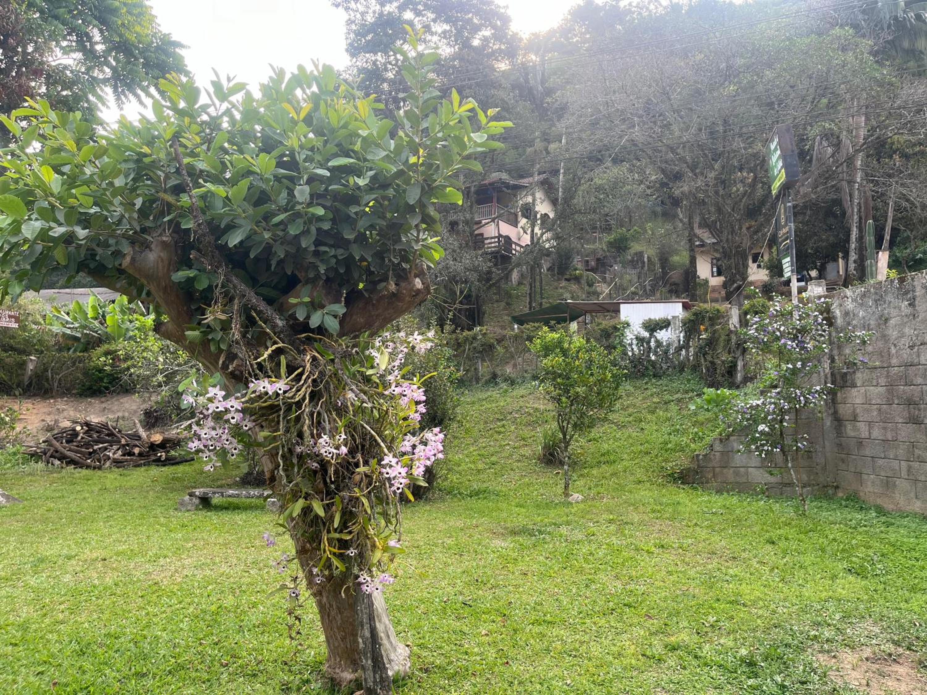 Pousada dos Colibris