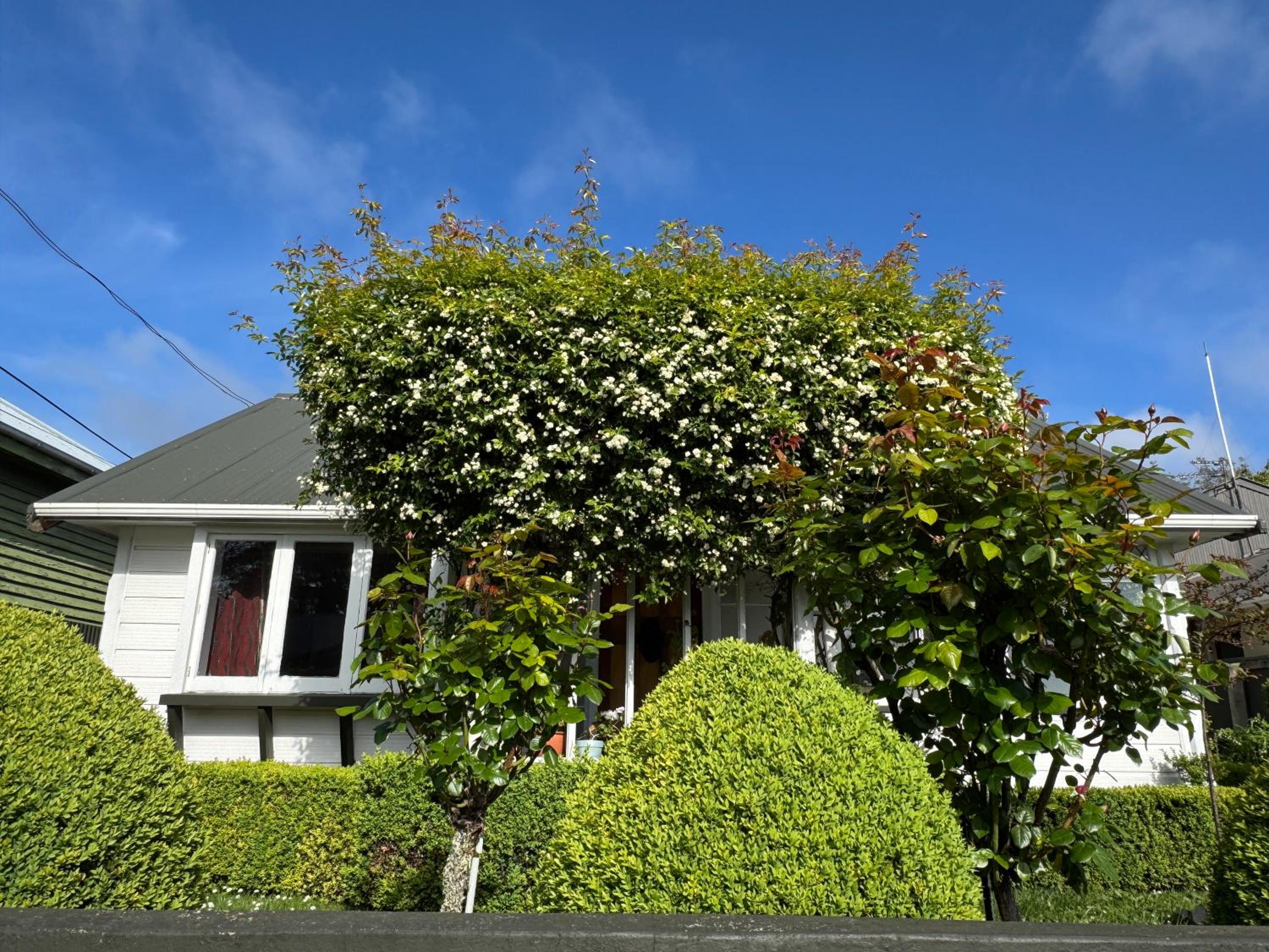 Photo 16