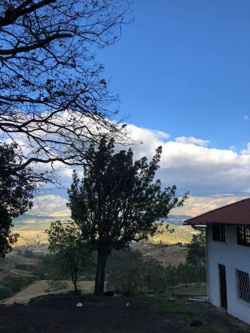 El ROÍ - Casa de Campo