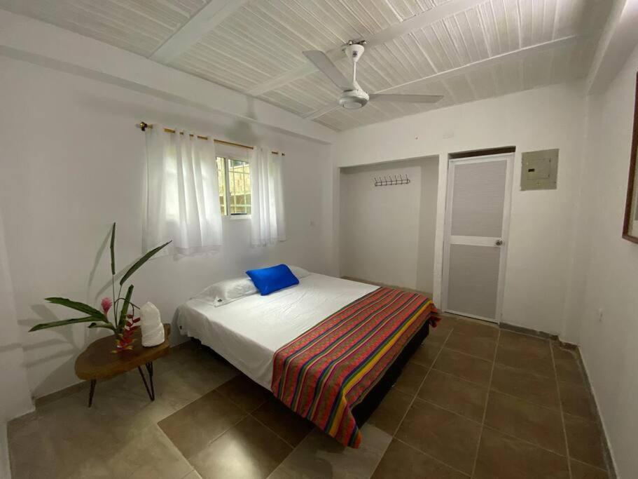Hostal y Camping Villa Guadua Tayrona