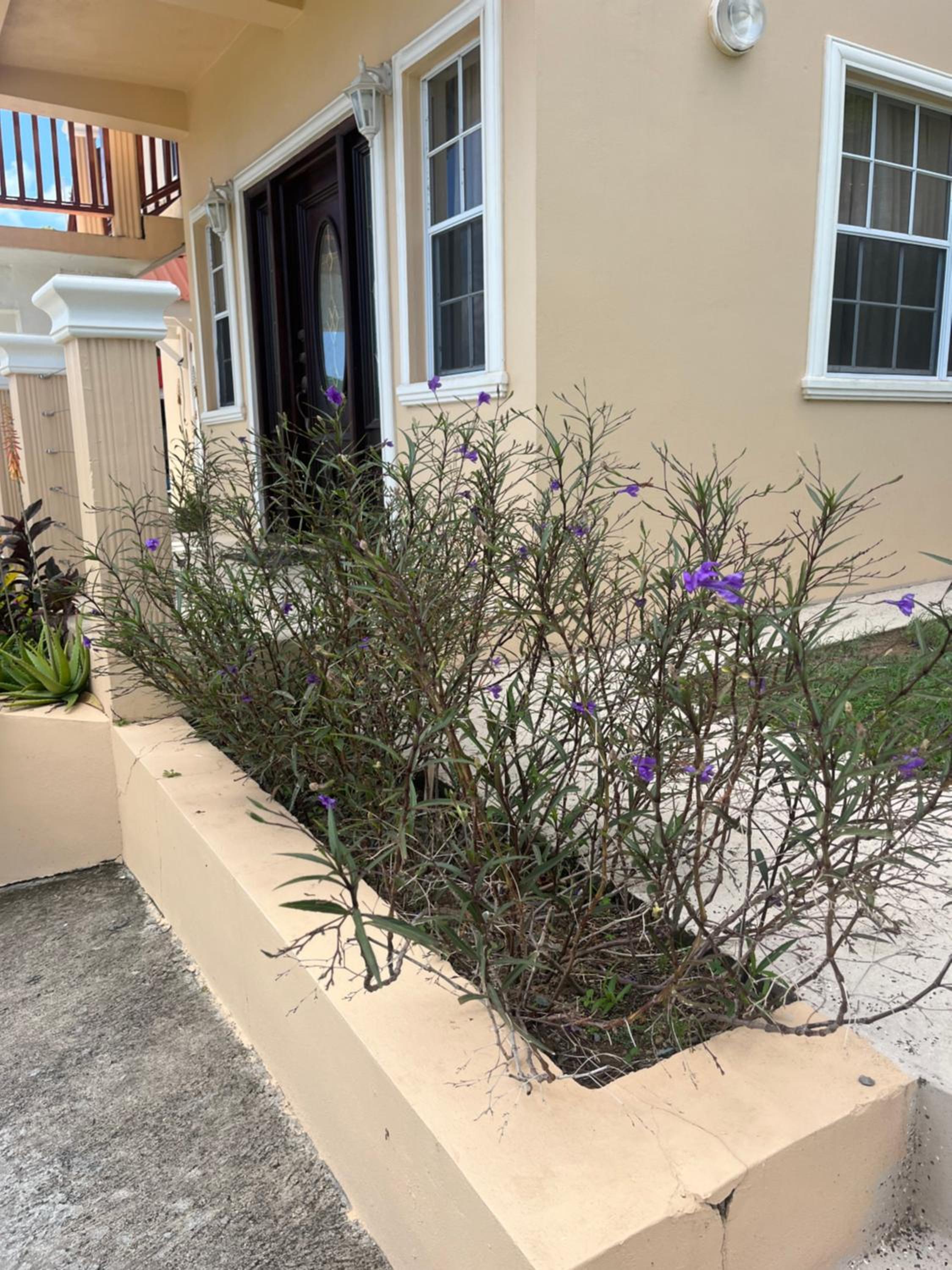 Belle Breeze Haven view 4