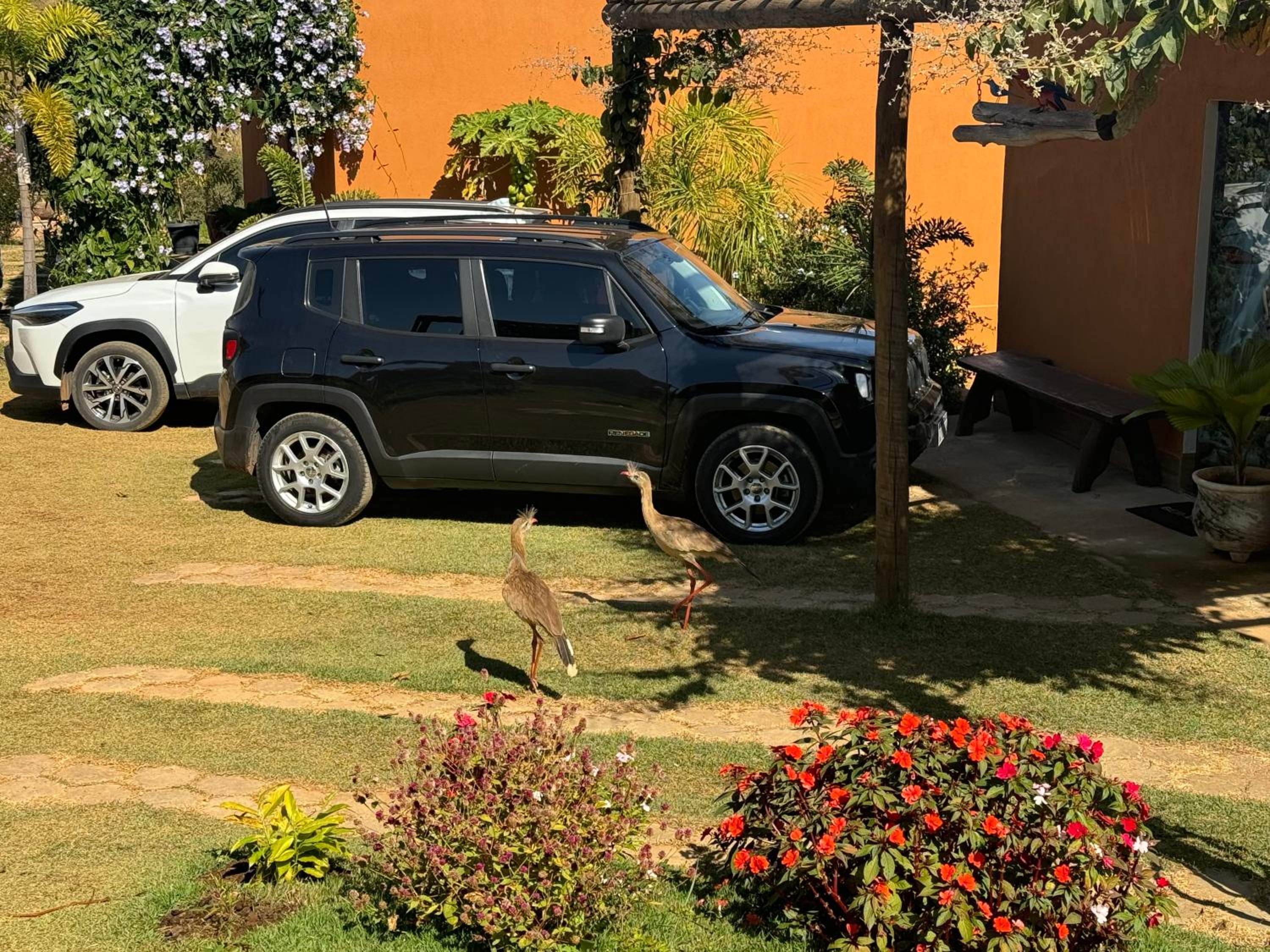 Pousada Guardiã da Canastra