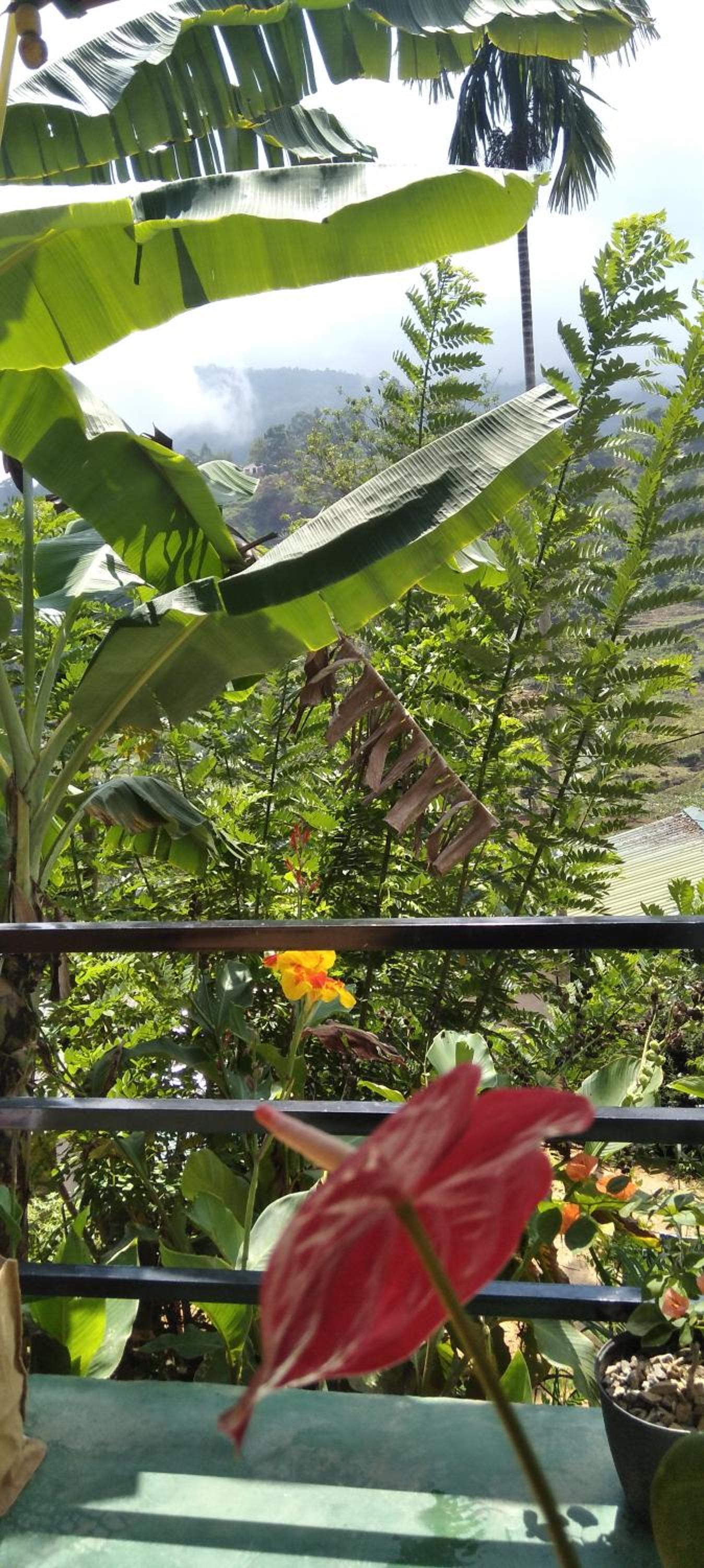 Hello Home