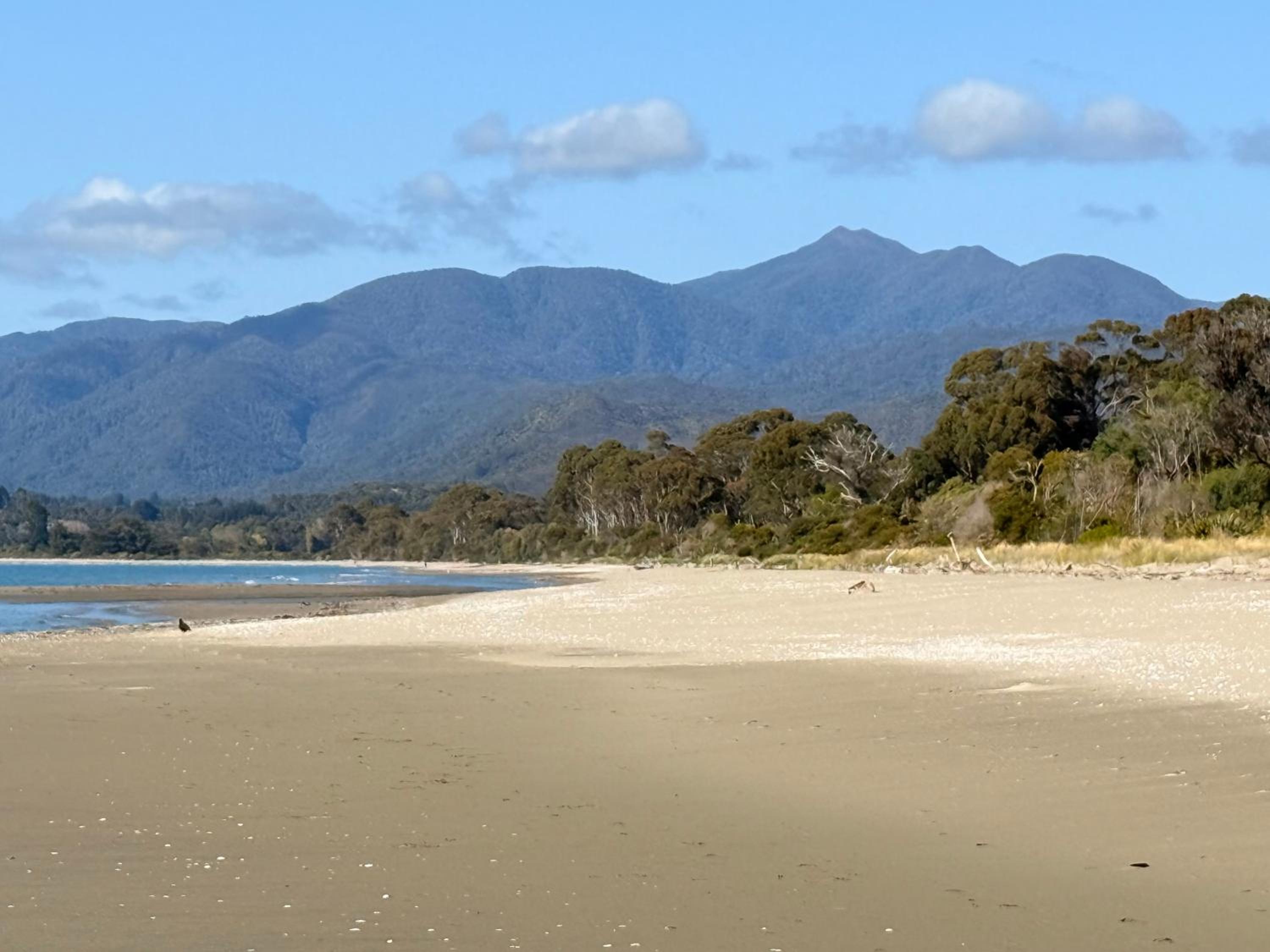 Pā Tōrea Beach Stay