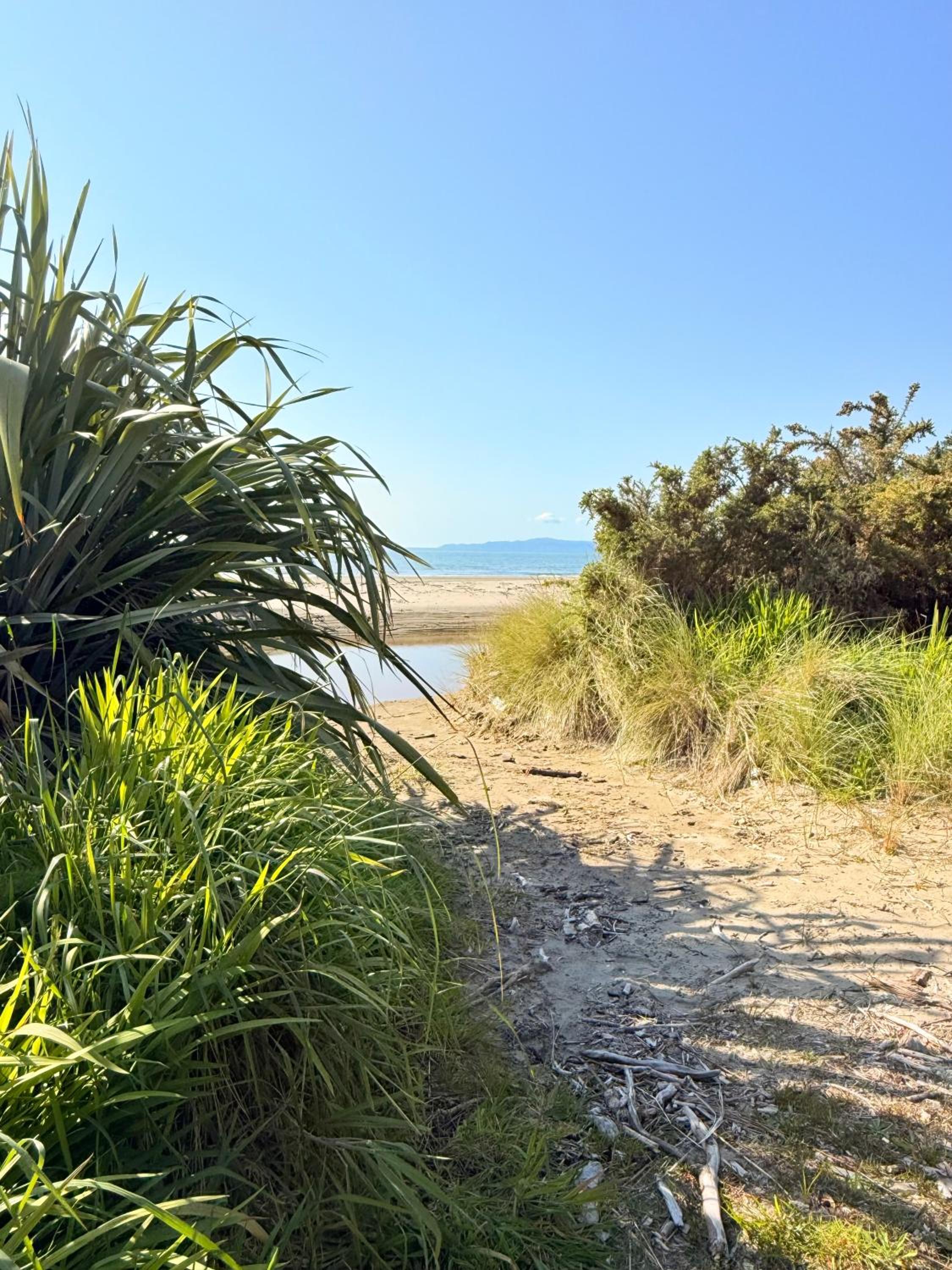 Pā Tōrea Beach Stay