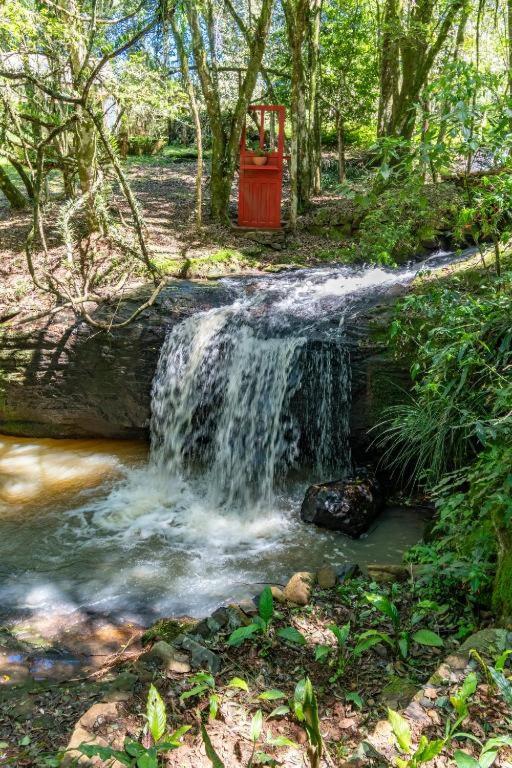 Quintal do Garnizé - Unidade Sabiá