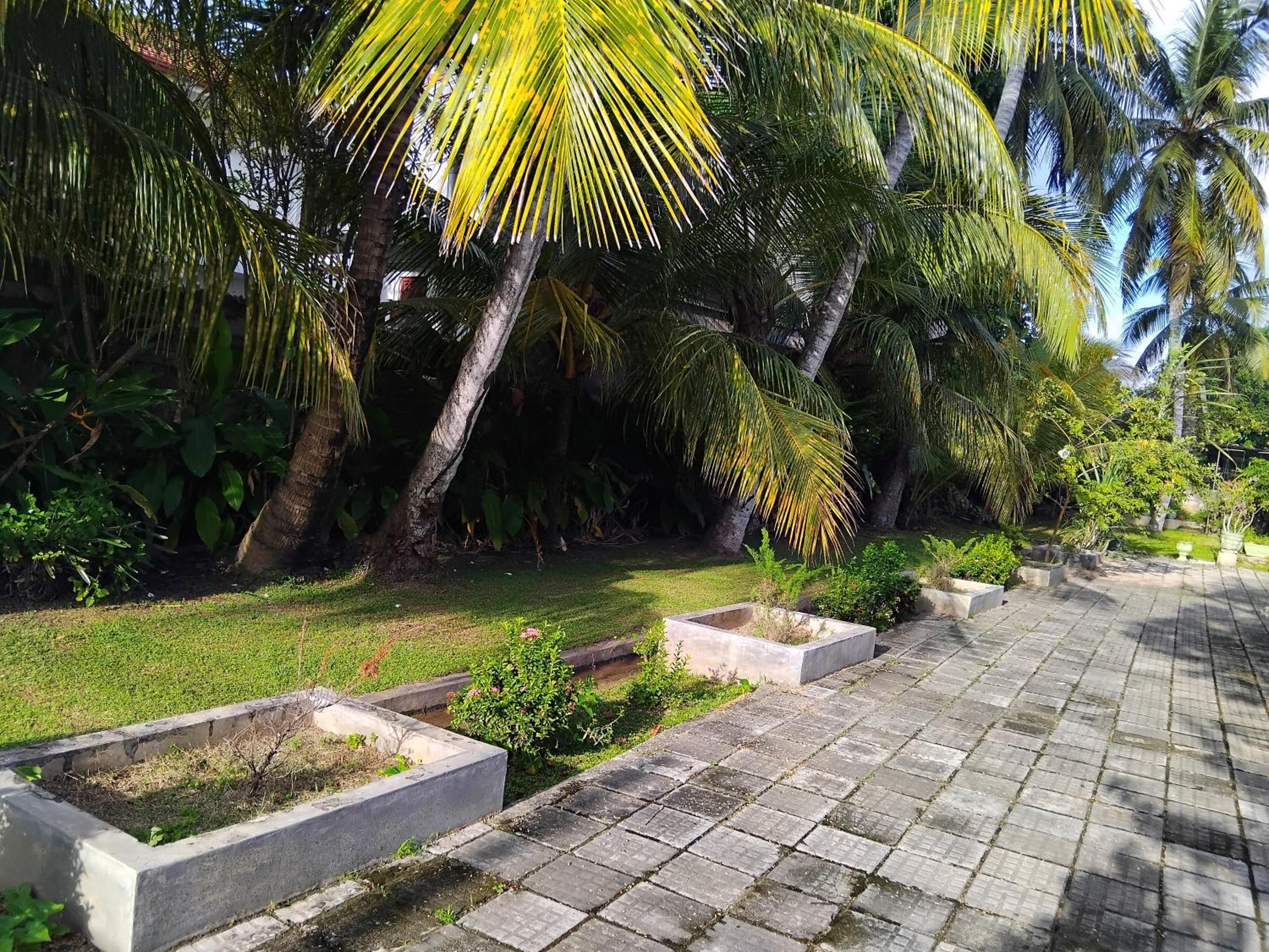 Photo 22