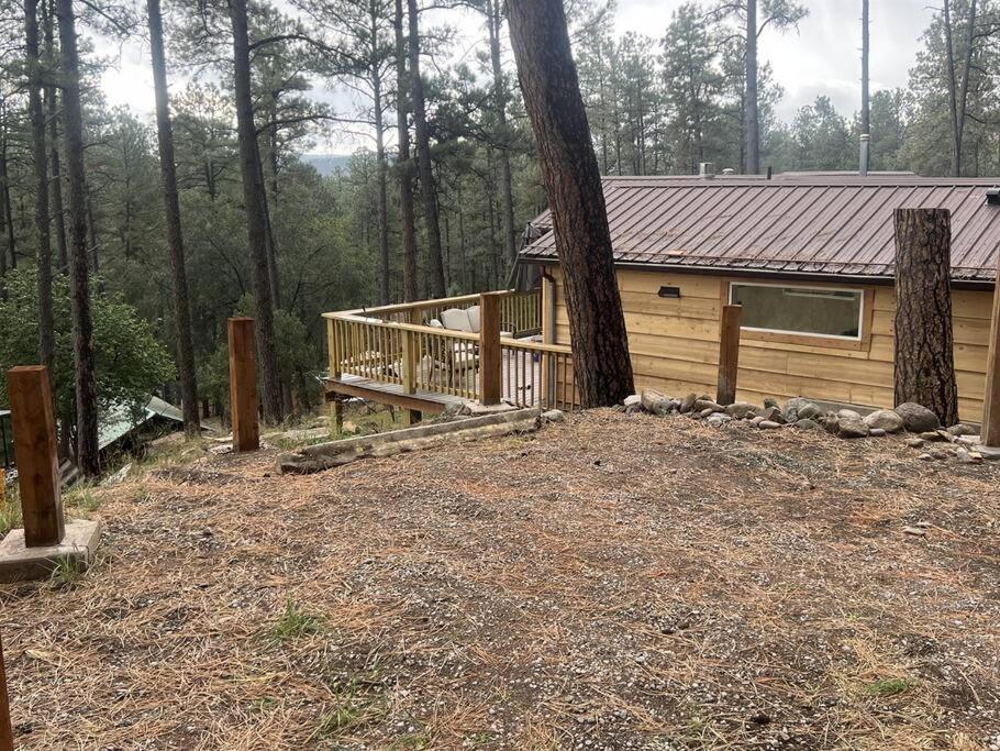 Tiny Cozy Cabin in Historic Upper Canyon view 5