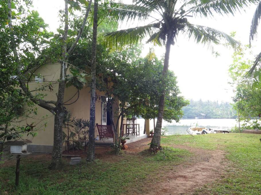 The Cinnamon Cottage