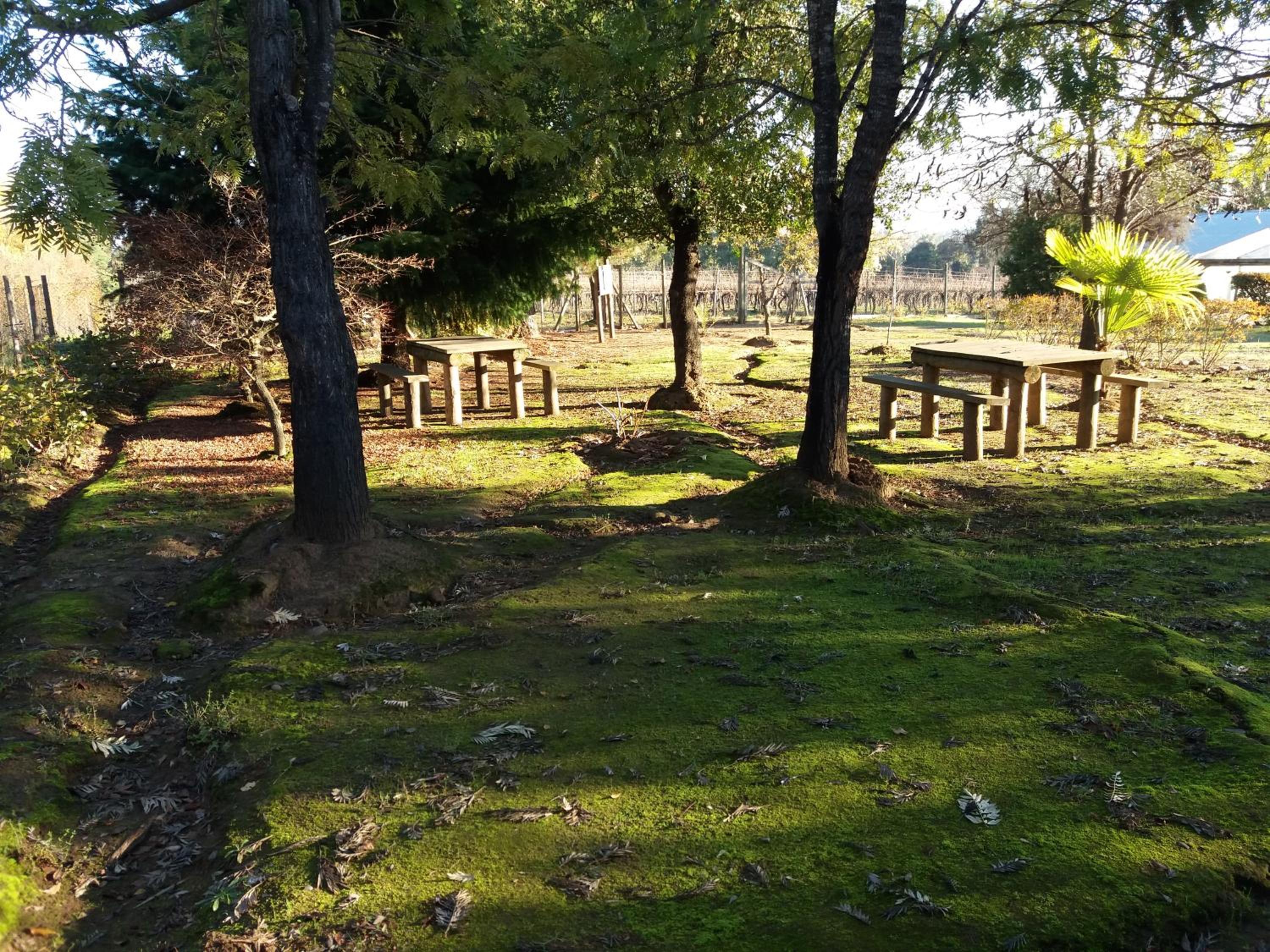 Hospedaje Casa Betalpu