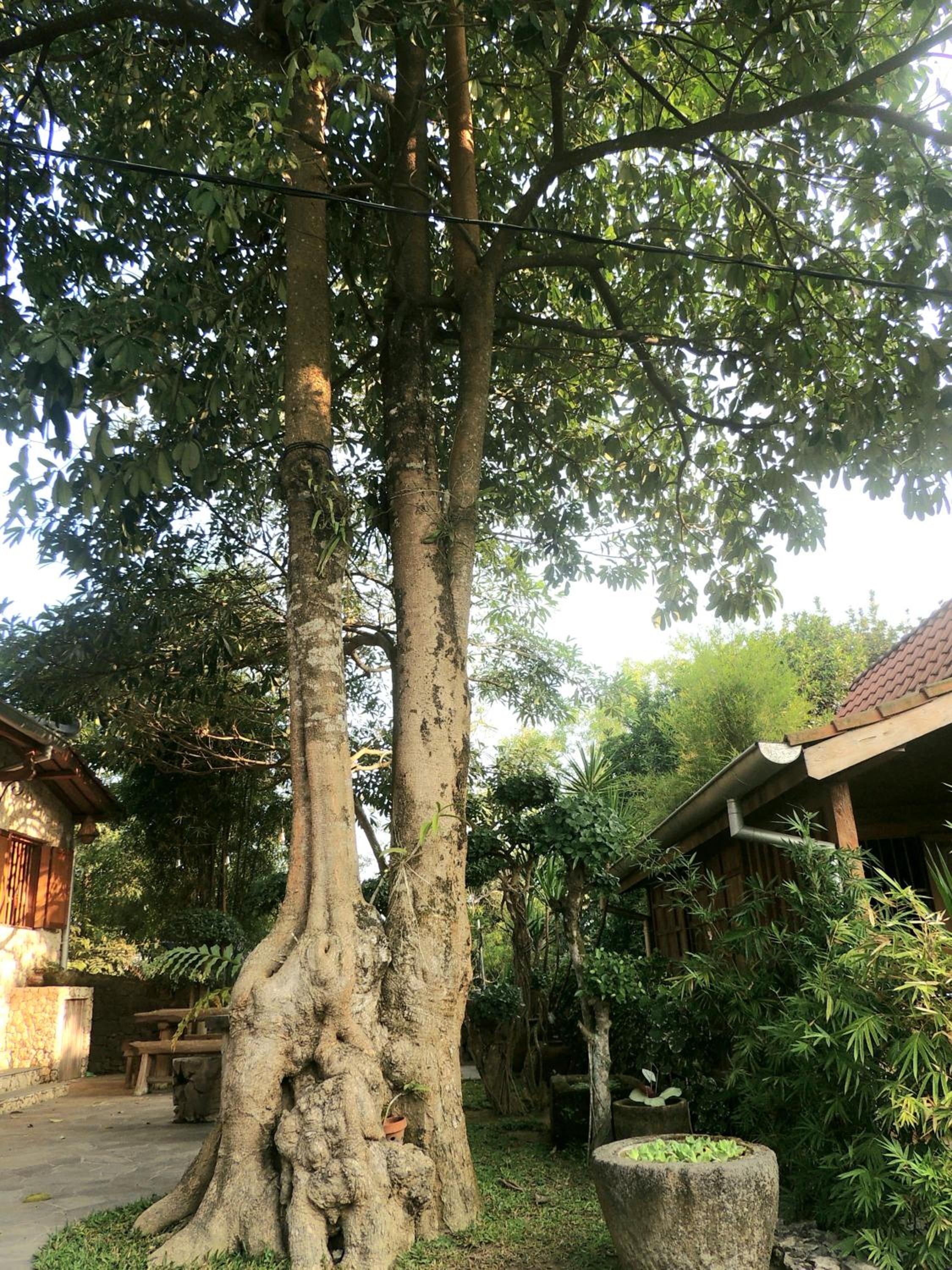 Photo 22