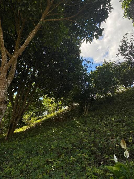 Refúgio natural Sítio encantador em Nova Friburgo