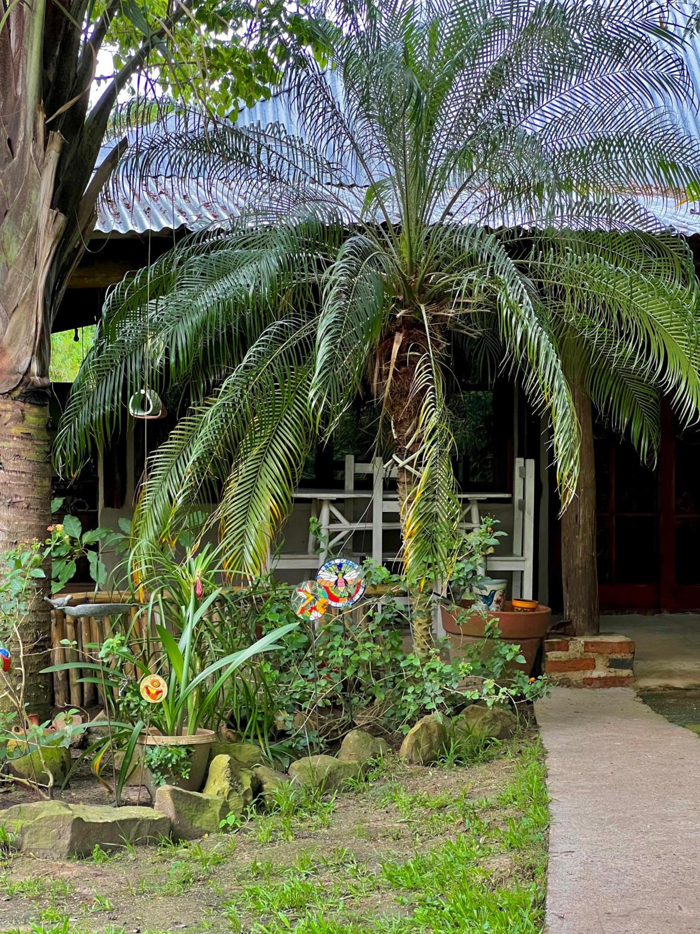 Inambú, casa de Huéspedes