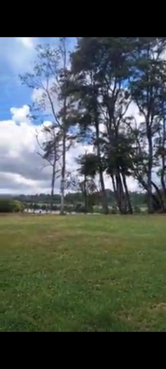 Bellavista