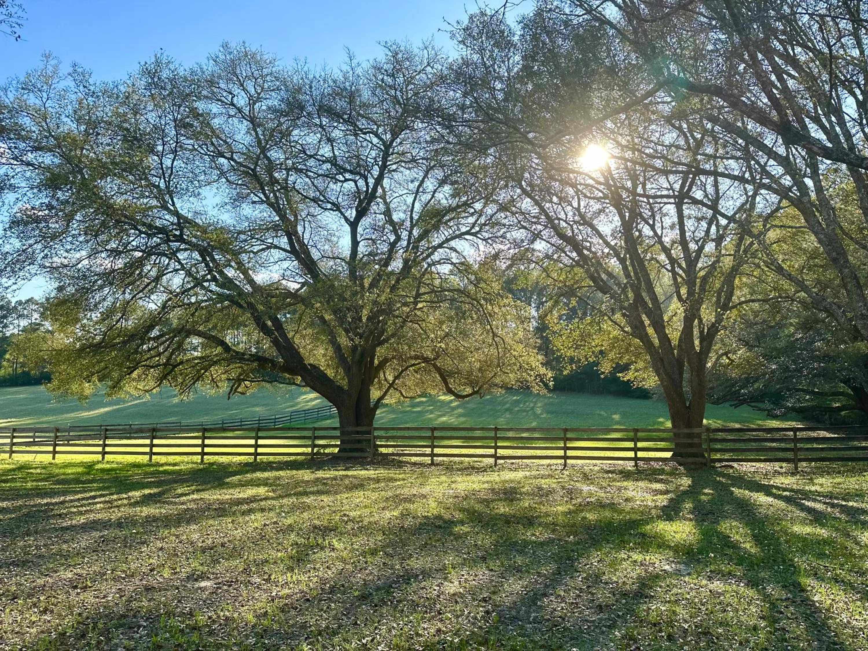 Restoration Farmhouse view 2