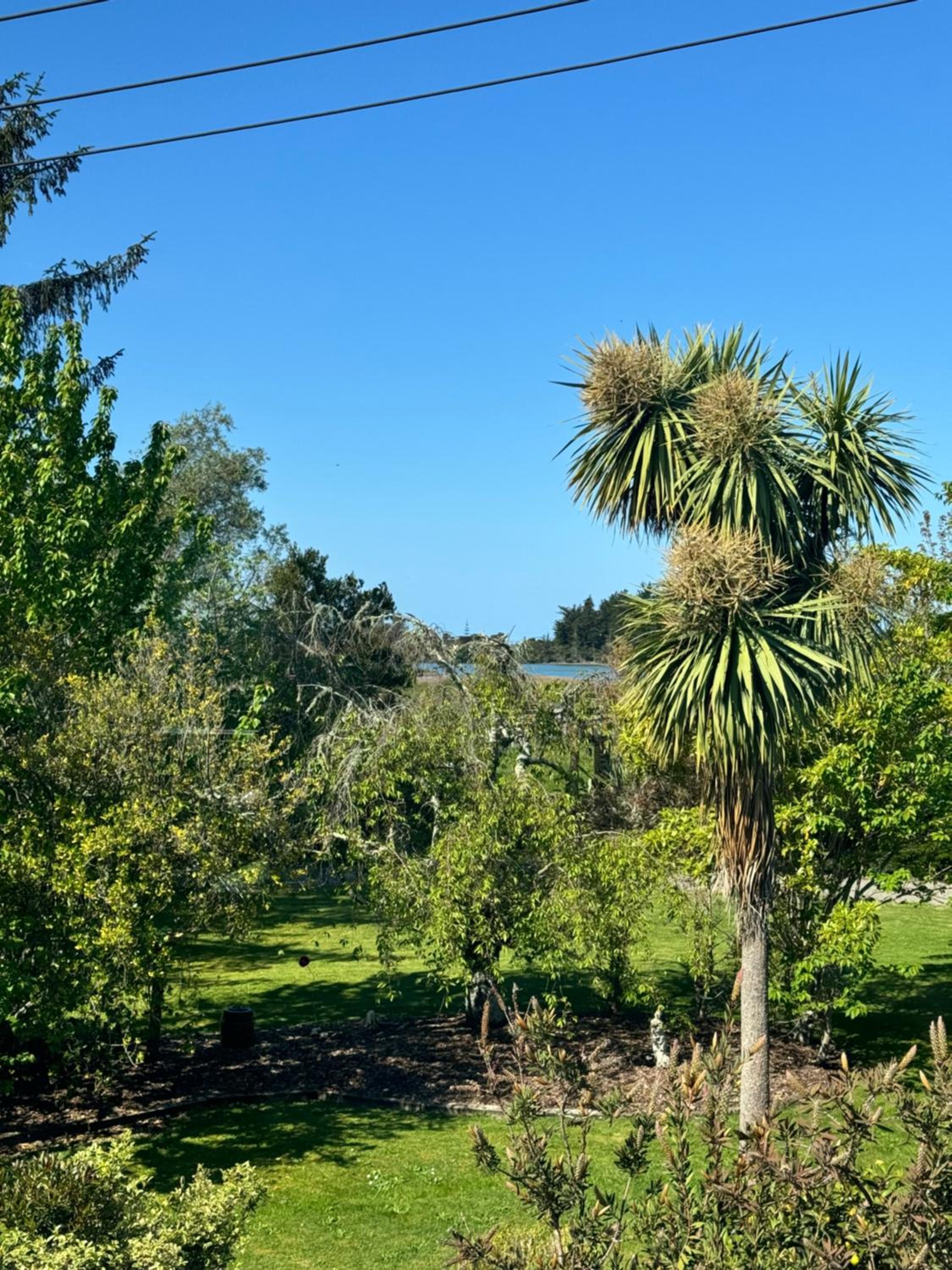 Natures Nest view 5