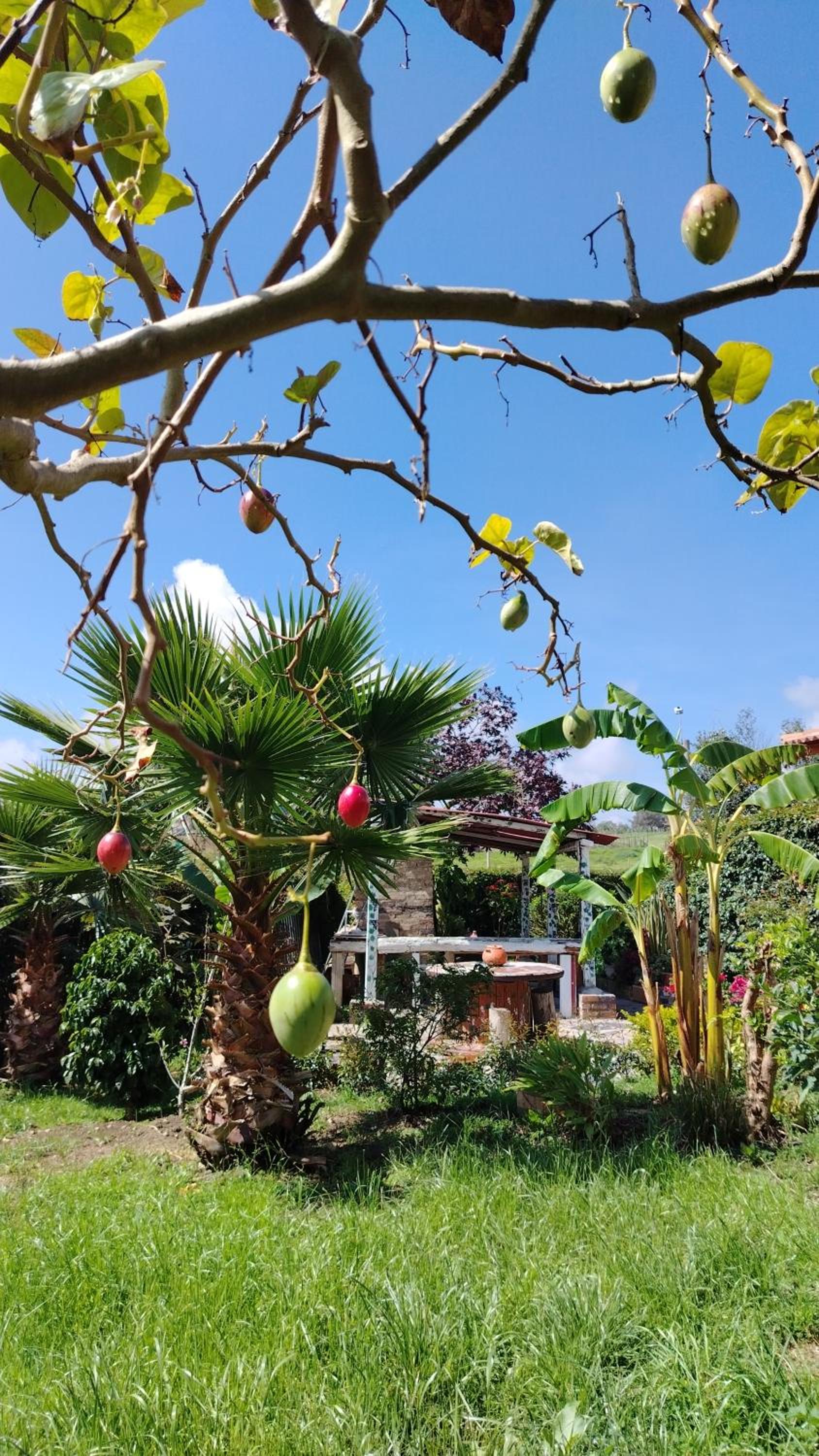 Cabaña Villa Mariana