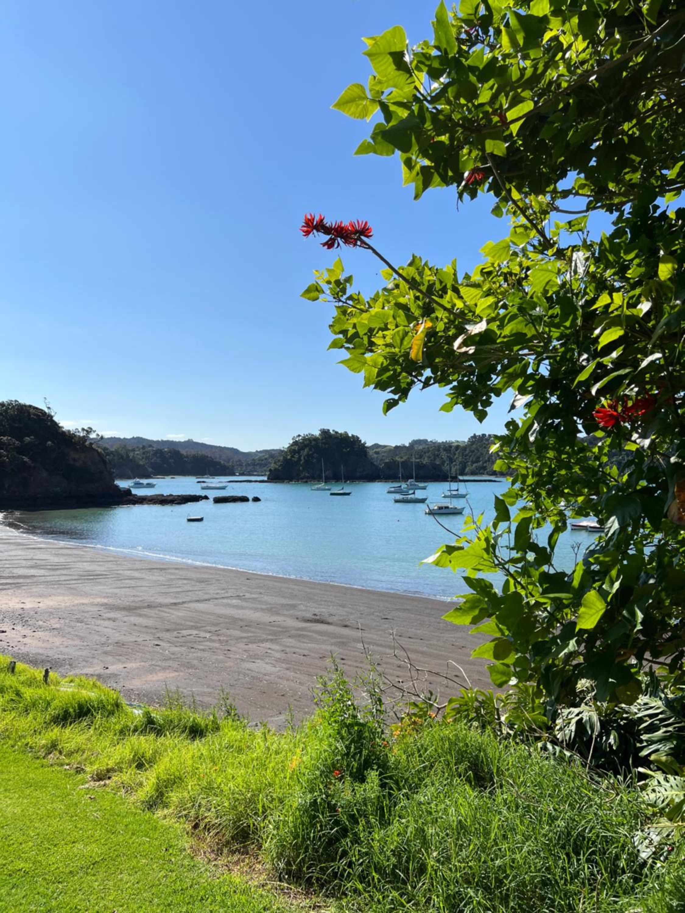 Tutukaka Sunrise